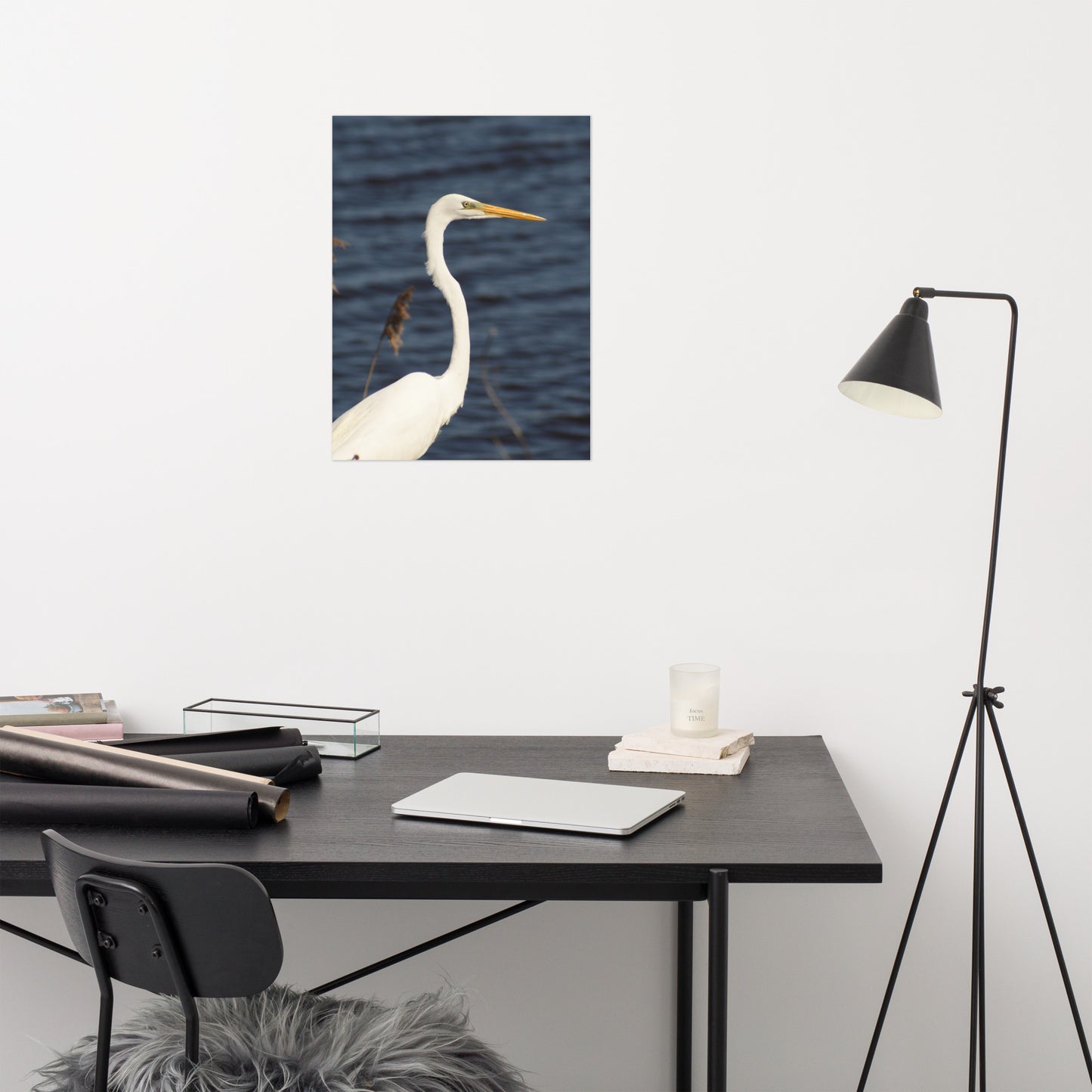 Great White Egret Bird / Animal / Wildlife Photograph Loose Wall Art Print