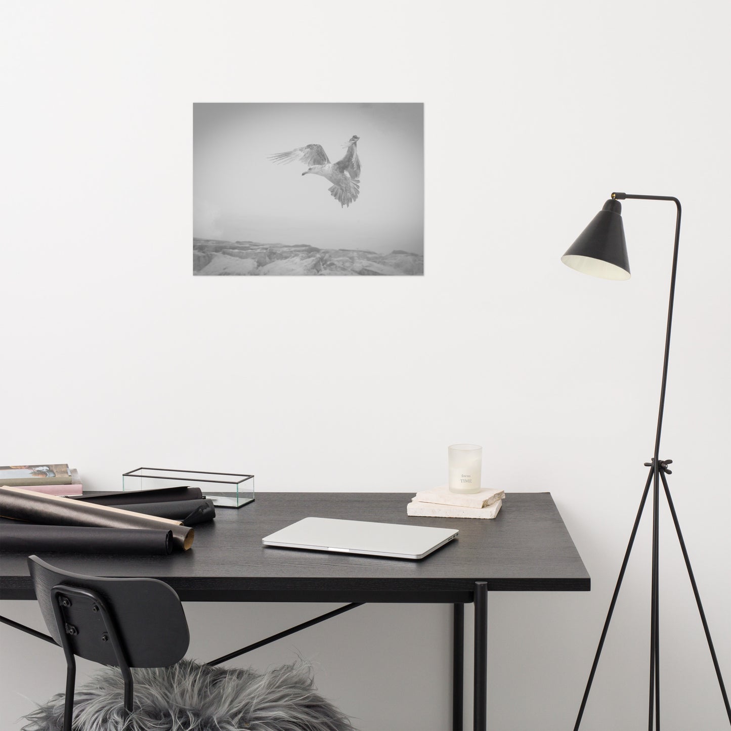 Gull in the Mist Black and White Bird / Animal / Wildlife Photograph Loose Wall Art Print