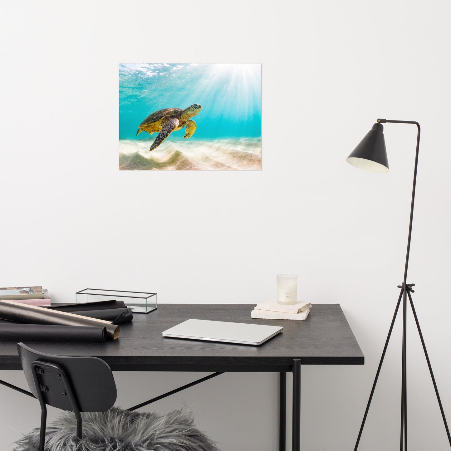 Hawaiian Green Sea Turtle In Turquoise Blue Sea and Sandbars Animal Wildlife Photograph Loose Wall Art Print