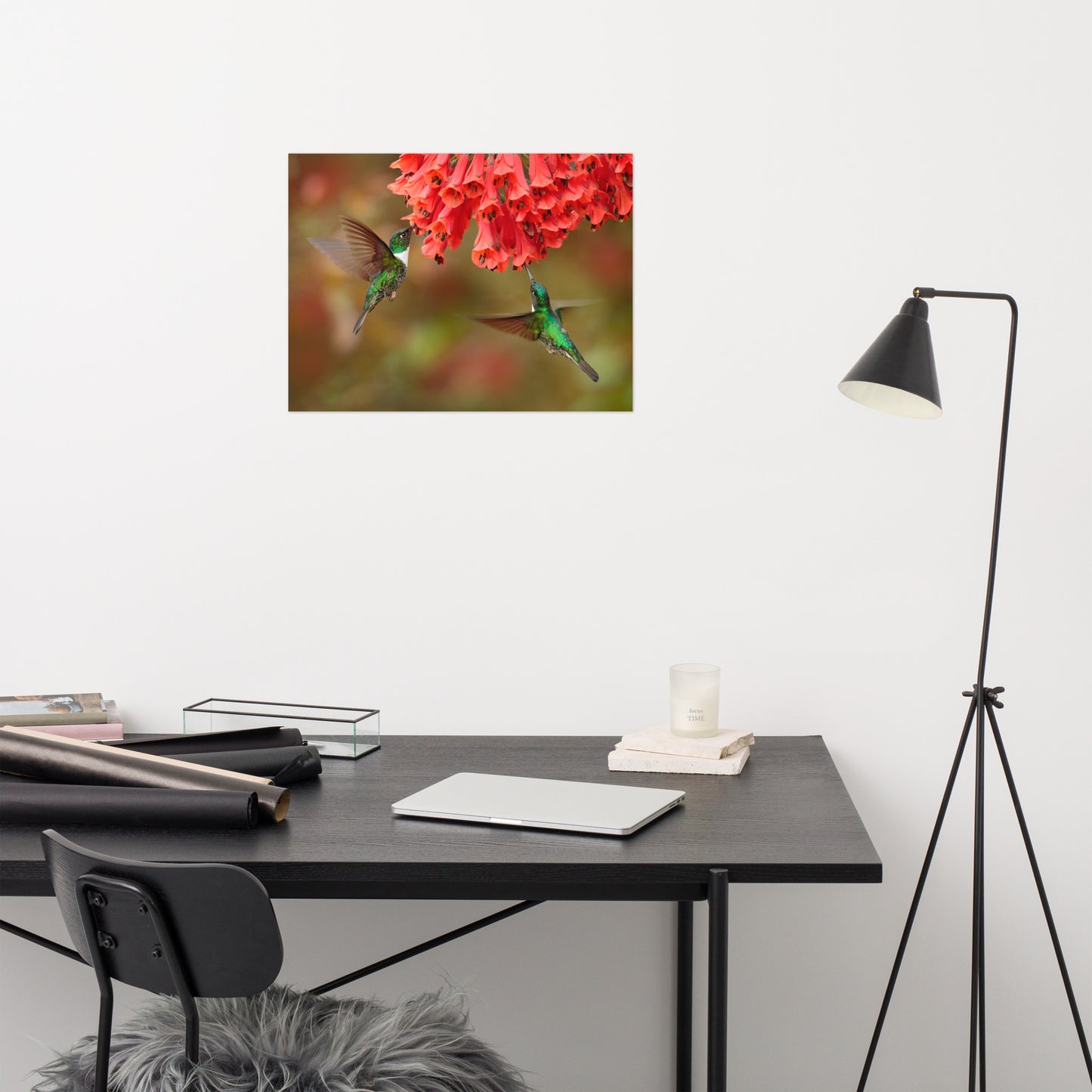 Hummingbirds with Reddish-Orange Flowers Loose Wall Art Print