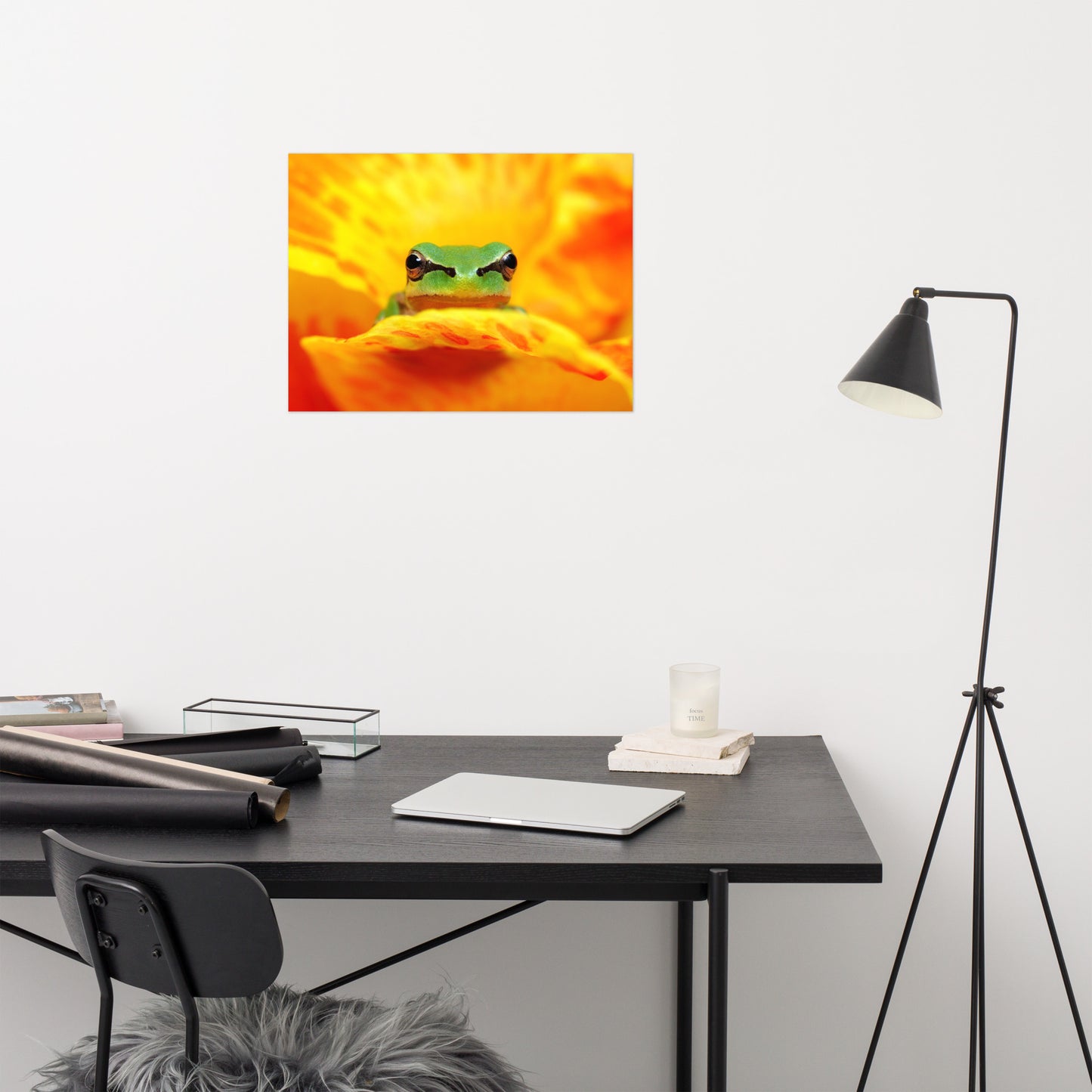 Hyla Green Frog on Yellow and Orange Flower Petals Wildlife Nature Photo Loose Wall Art Print