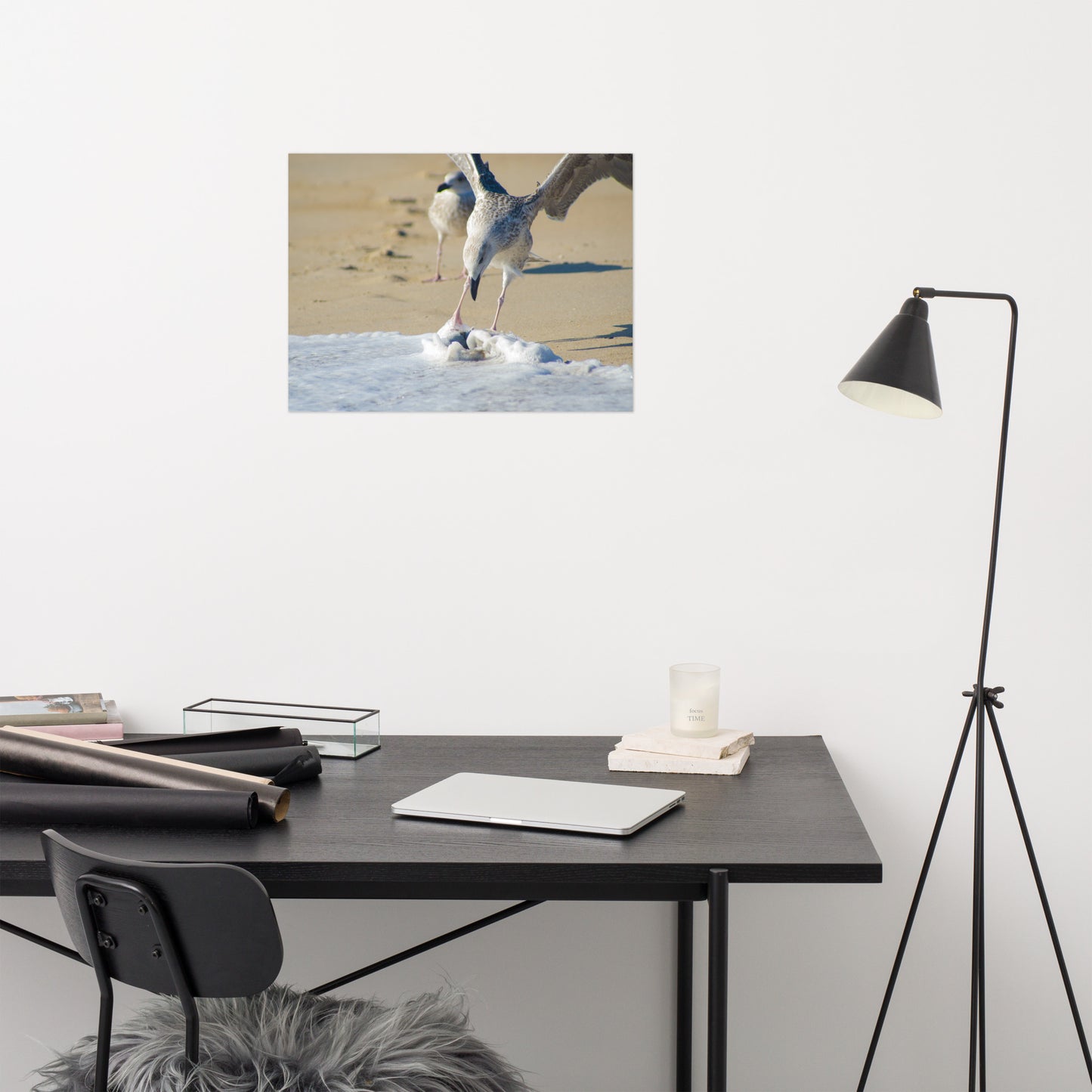 Oh That's Cold Coastal Bird Wildlife Photograph Loose Wall Art Print