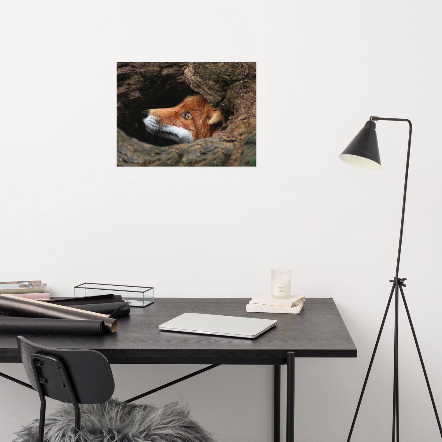 Red Fox Face in Stump of Tree Rustic Farmhouse Style Animal Wildlife Nature Photograph Loose Wall Art Print