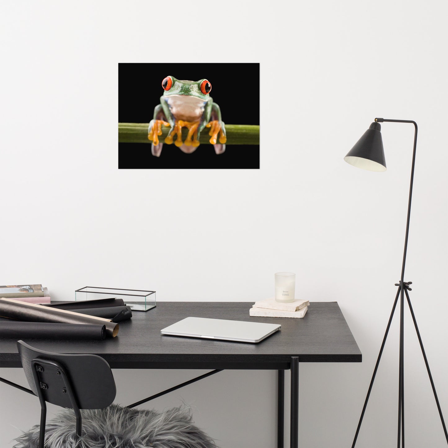 Red Eyed Tree Frog Sitting on Branch Animal Wildlife Nature Photo Loose Wall Art Print