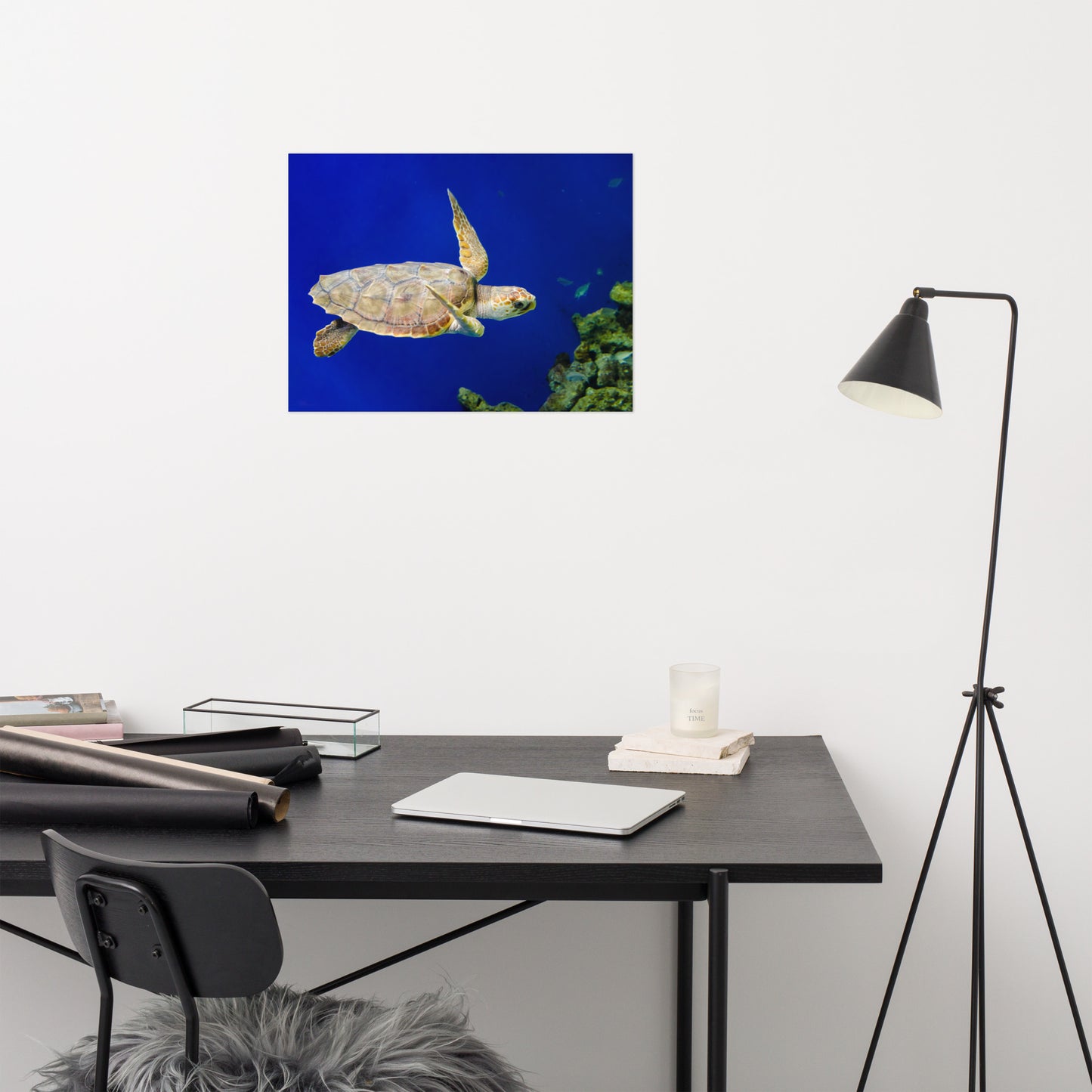 Sea Turtle 1 Animal / Wildlife Photograph Loose Wall Art Print