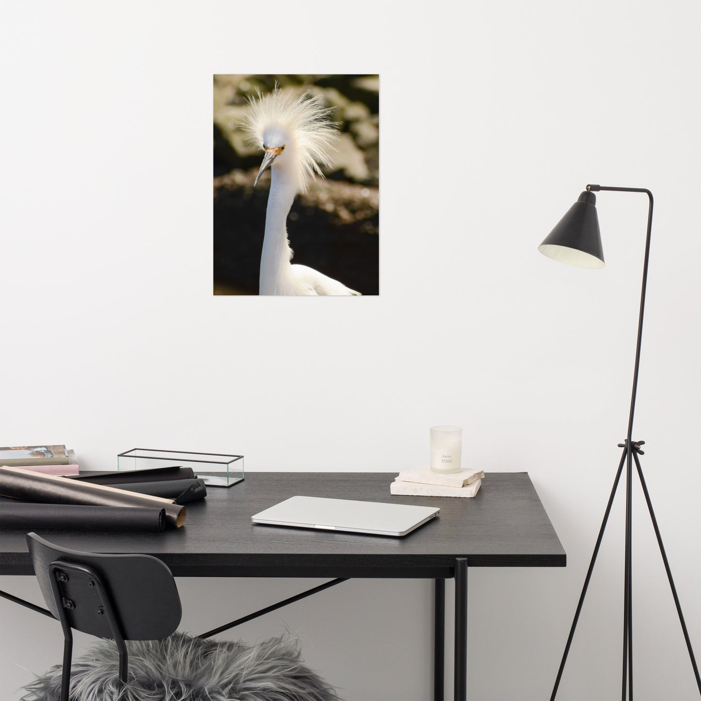 Snowy Egret - Coastal Bird Wildlife Photograph Loose Wall Art Print