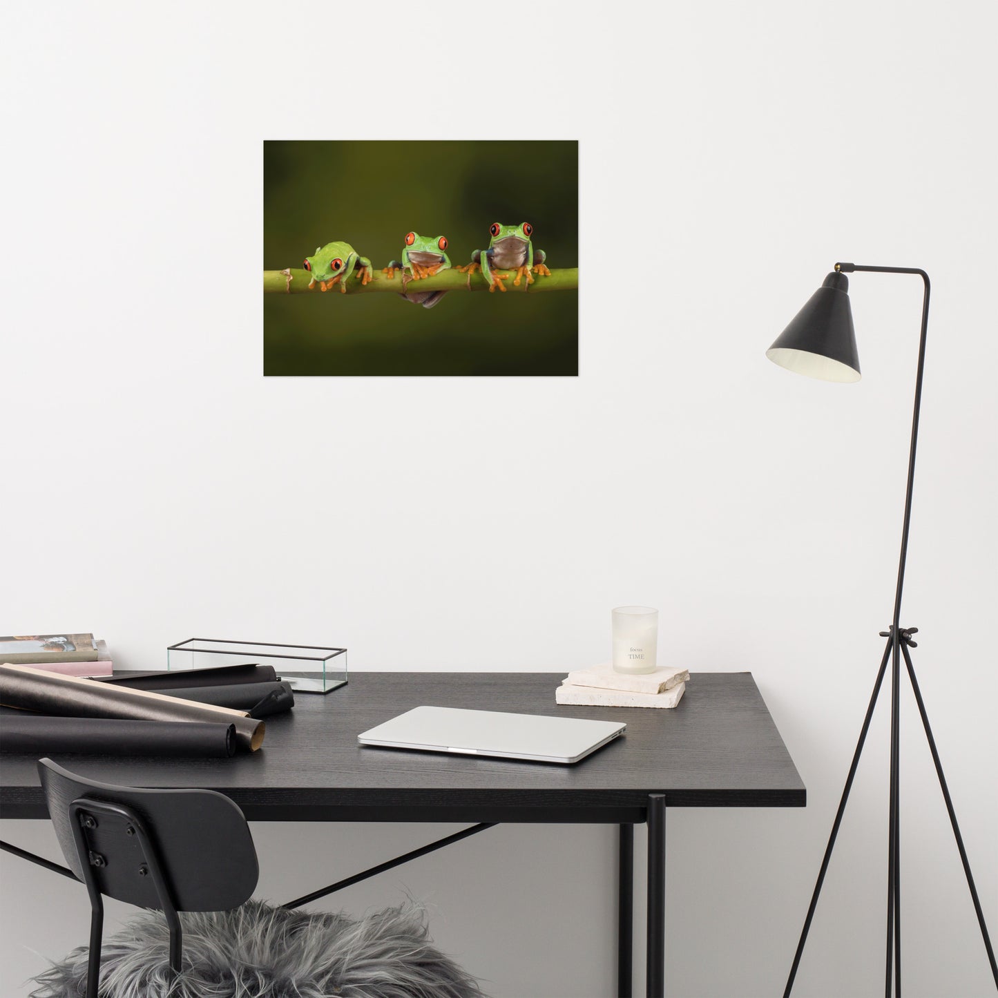 Three Tiny Green Red Eyed Tree Frog on Bamboo Branch Animal Wildlife Floral Nature Photograph Loose Wall Art Print