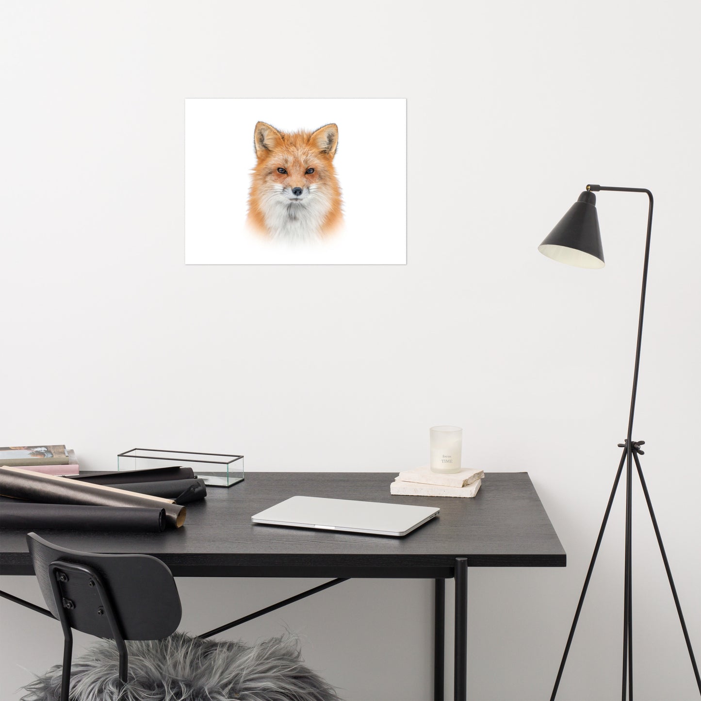 Young Red Fox Face on White Minimal Animal Wildlife Nature Photograph Loose Wall Art Print
