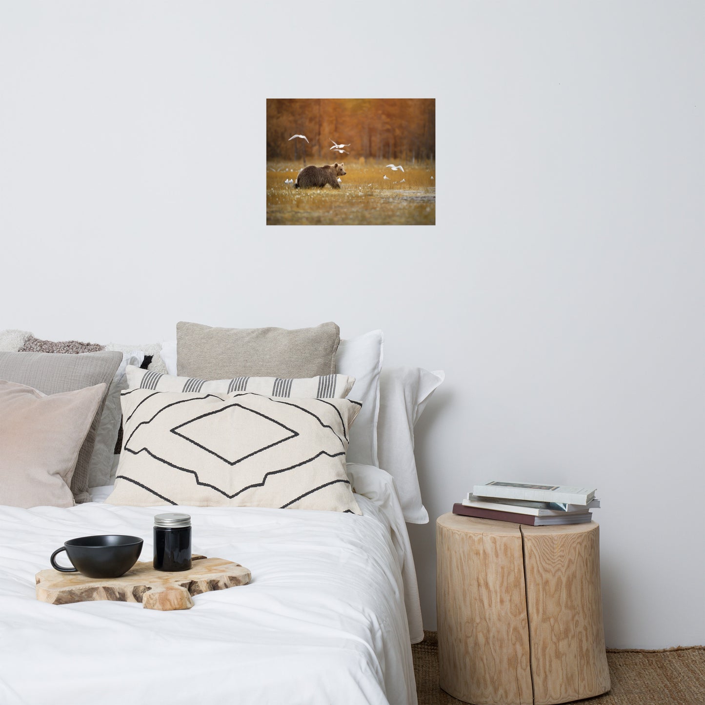 Big Brown Bear Crossing The Marshlands Wildlife Photo Loose Wall Art Prints