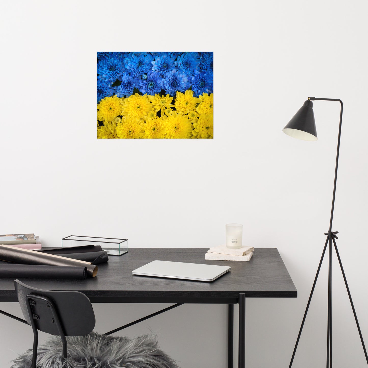 Blue and Yellow Chrysanthemums Nature Photo For Ukraine Refugees Loose Wall Art Print