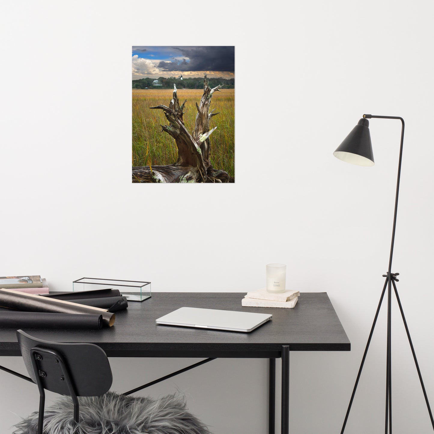 Dead Tree and Amelia Lighthouse Coastal Landscape Photo - Loose Wall Art Prints