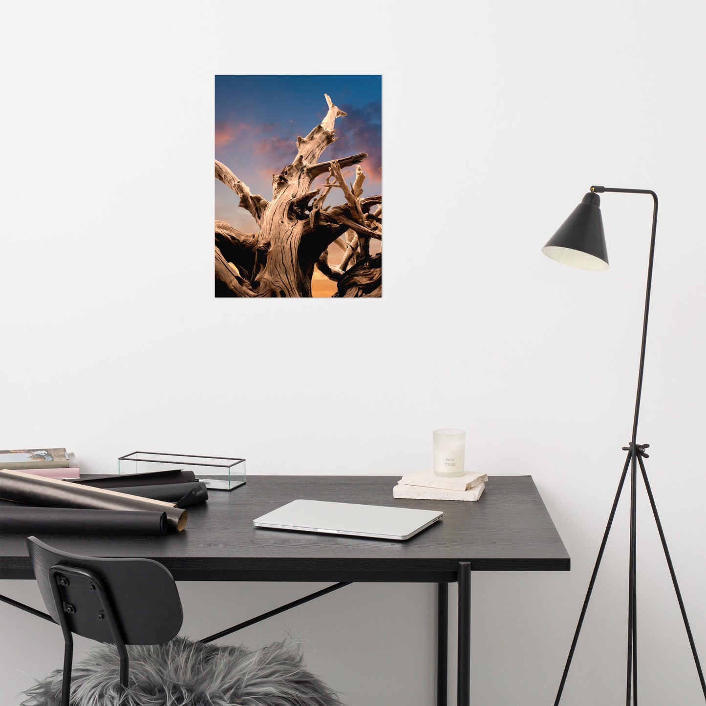 Wilted Cypress Tree and Sunrise Rustic Farmhouse Style Nature Photo Loose Wall Art Prints