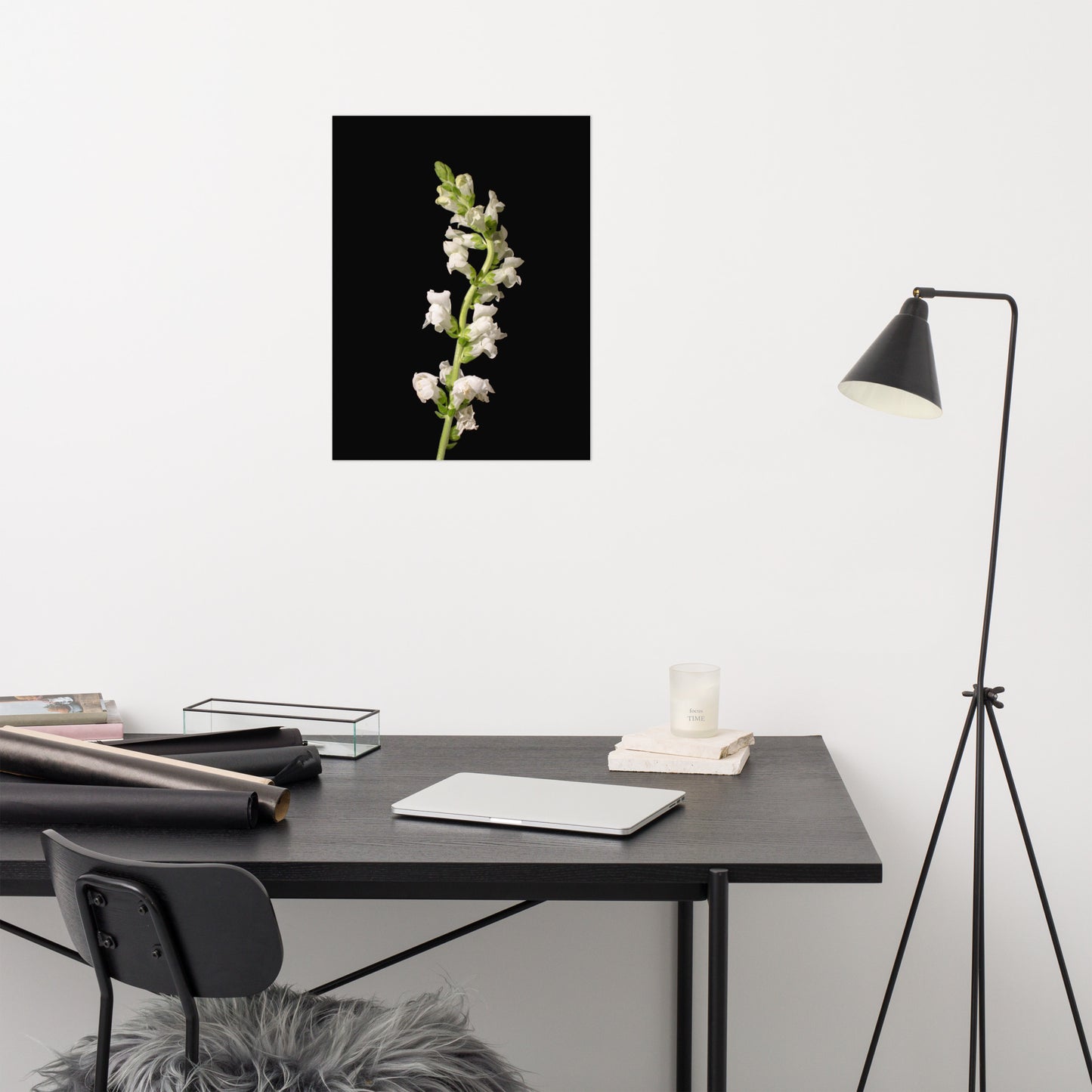 White Snapdragons Floral Nature Photo Loose Unframed Wall Art Prints