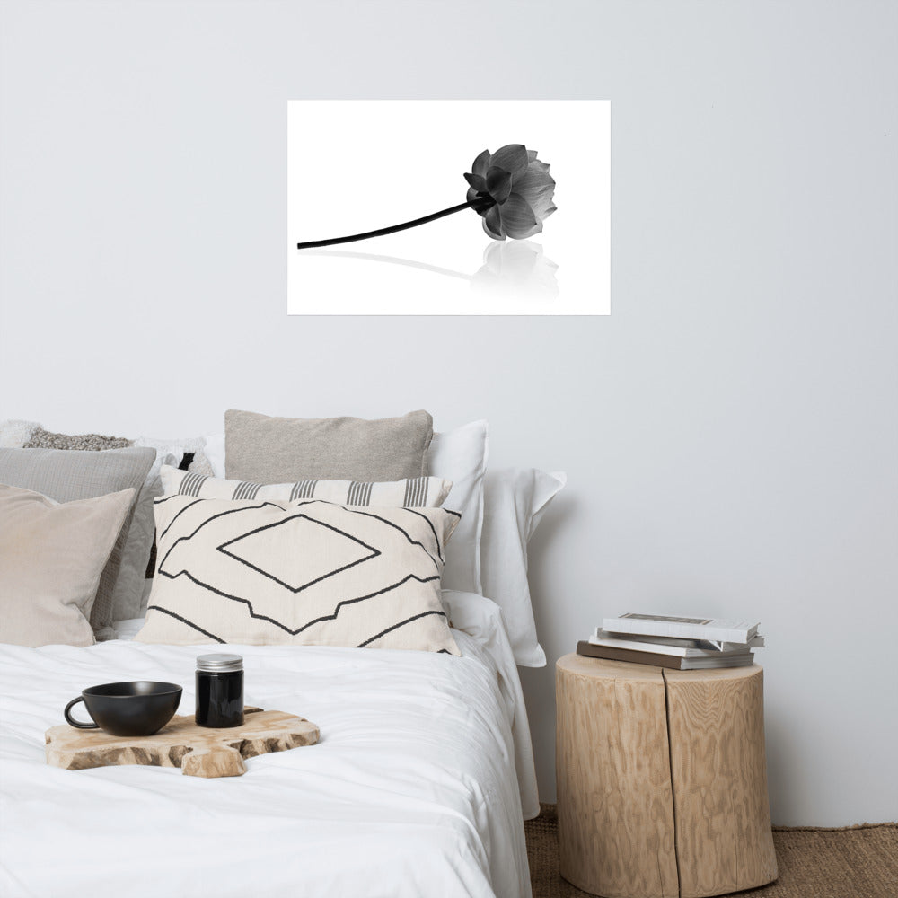 Resting Lotus Flower Black & White Floral Nature Photo Loose Flower Wall Art Print