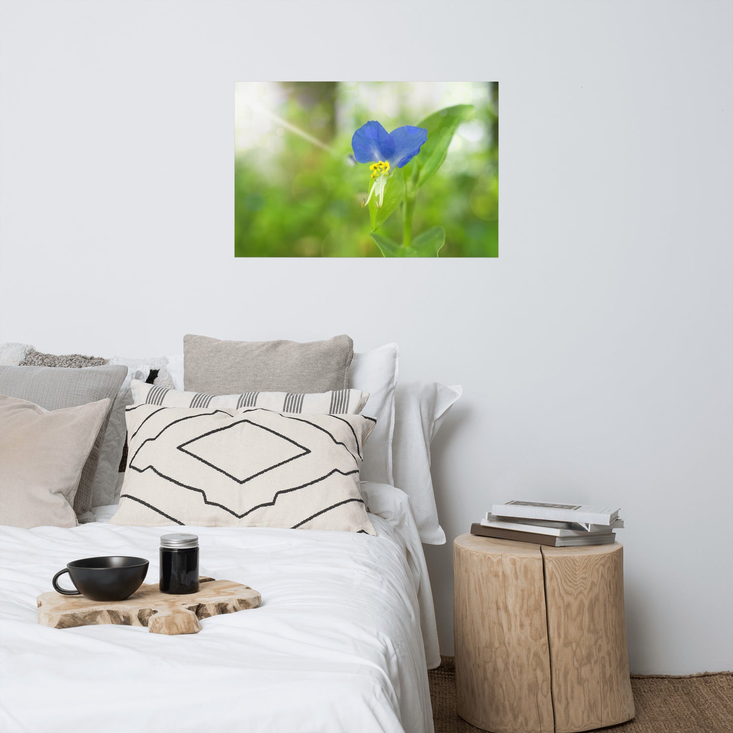 Flower Poster Art: Little Purple and White Flower Bloom - Botanical / Floral / Flora / Flowers / Nature Photograph Loose / Unframed Wall Art Print - Artwork