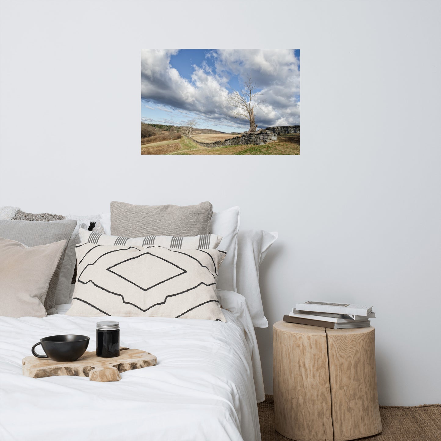 Dead Tree and Stone Wall Rustic Farmhouse Style Landscape Photo Loose Wall Art Prints