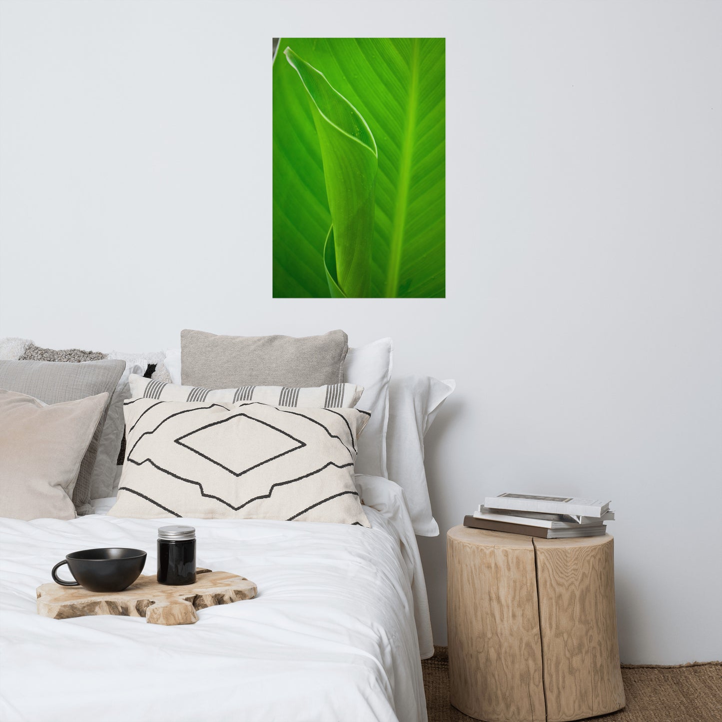 Leaves of Canna Lily Modern Farmhouse Style Botanical Nature Photo Loose Unframed Wall Art Prints