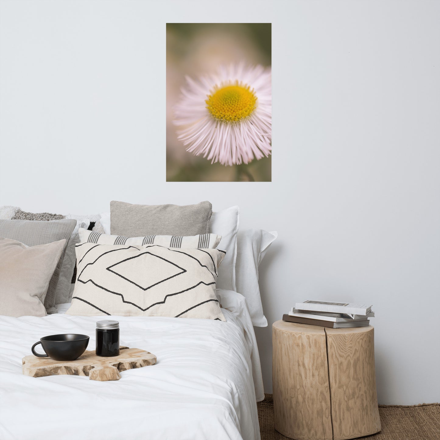 Philadelphia Fleabane Single Bloom Floral Nature Photo Loose Unframed Wall Art Prints