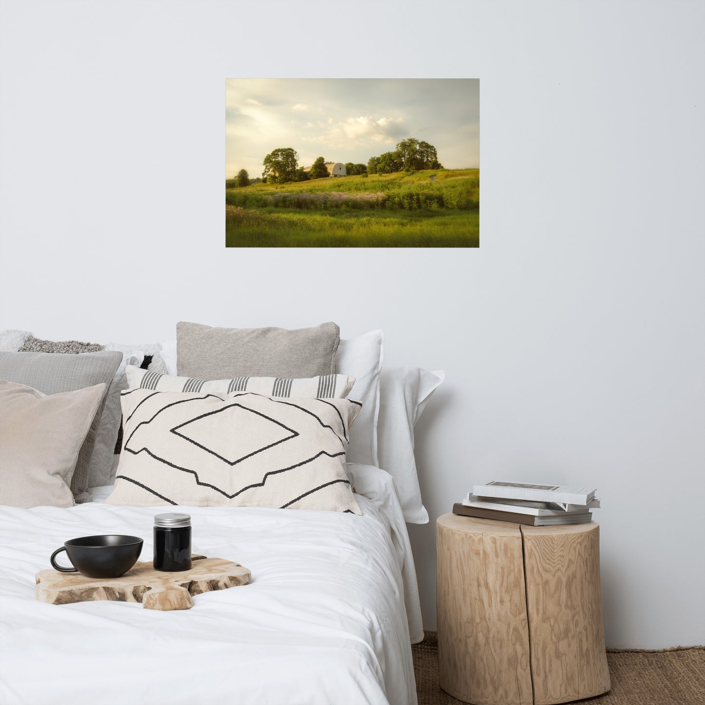 Remnant of Better Days Rustic Farmhouse Style Landscape Photo Loose Wall Art Prints