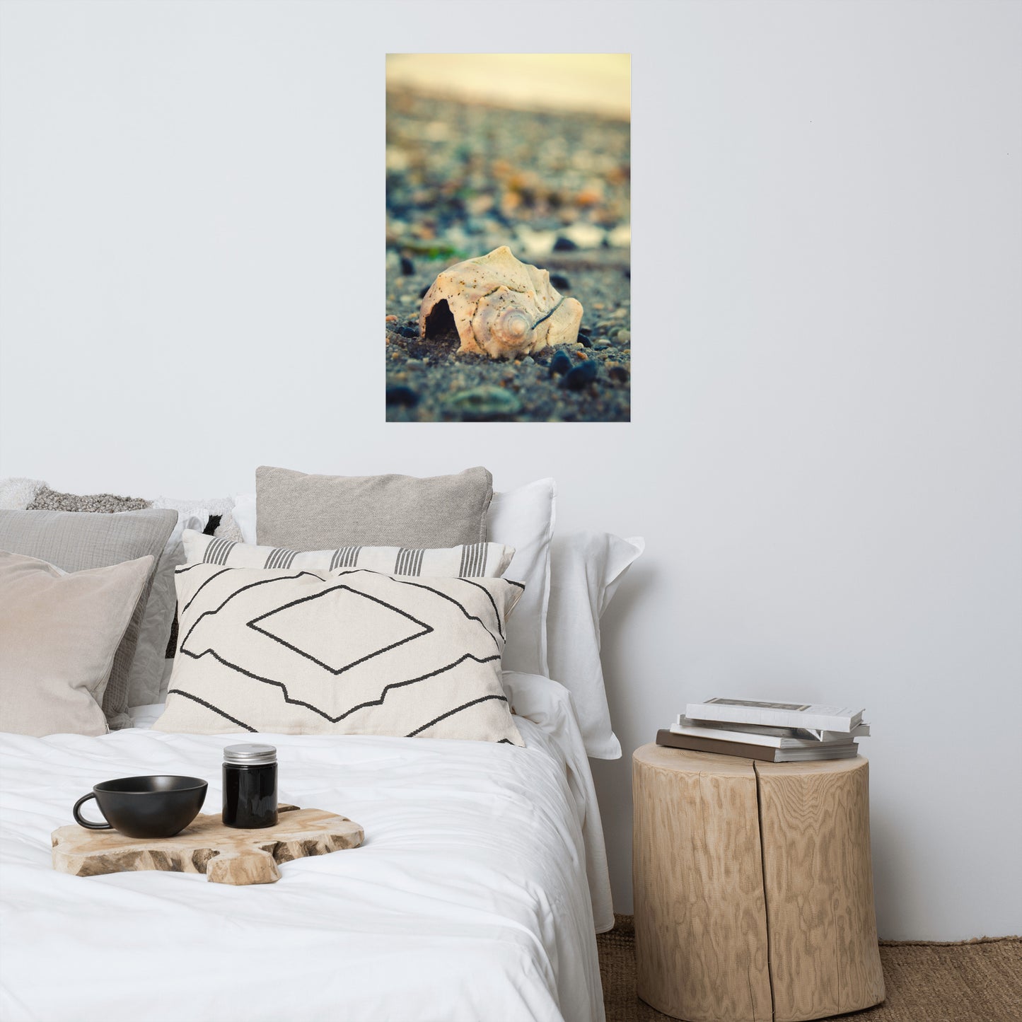 Shell at Bowers 2 Coastal Nature Photo Loose Unframed Wall Art Prints