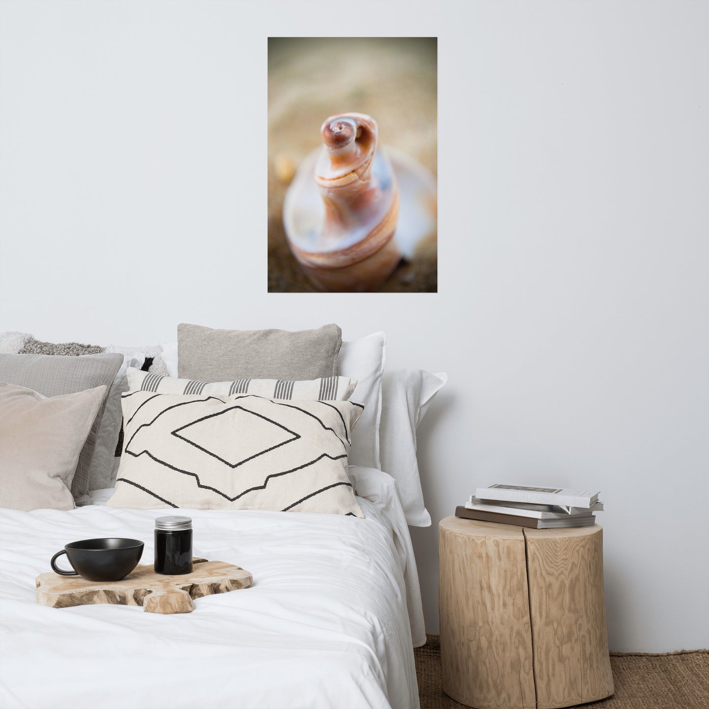 Smooth Erosion - Seashell Coastal Nature Photo Loose Unframed Wall Art Prints