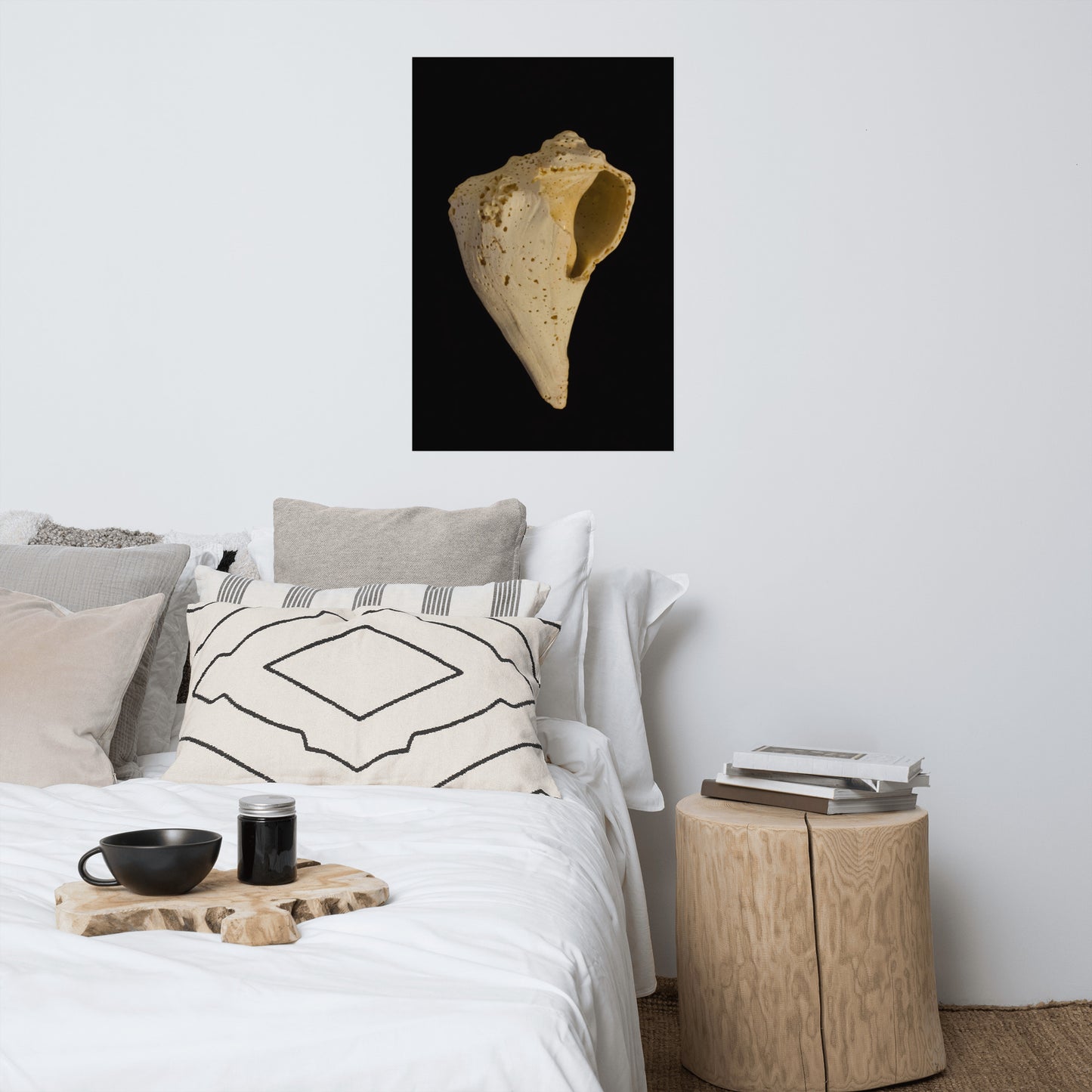 States of Erosion Image 1 Whelk Shell Coastal Nature Photo Loose Unframed Wall Art Prints