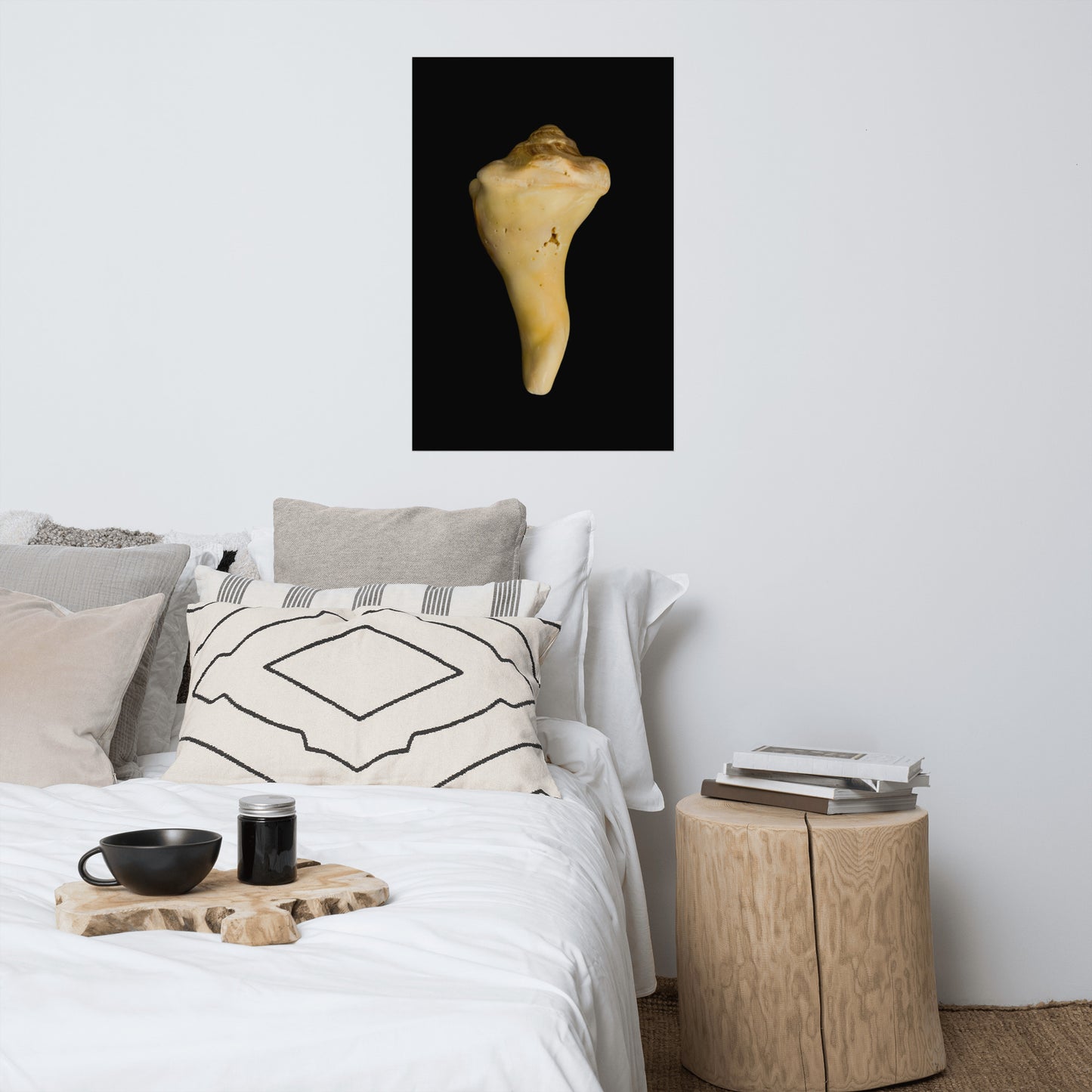 States of Erosion Image 8 Whelk Shell Coastal Nature Photo Loose Unframed Wall Art Prints