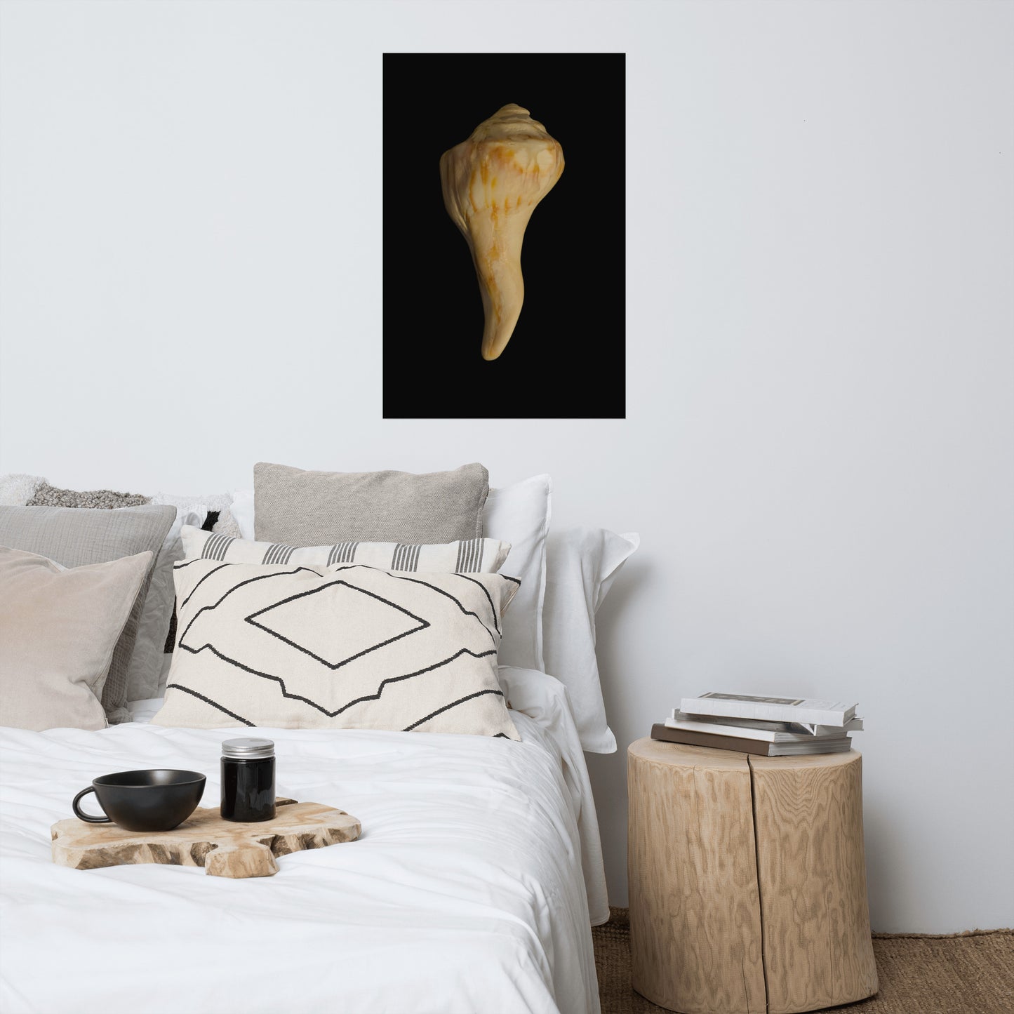 States of Erosion Image 9 Whelk Shell Coastal Nature Photo Loose Unframed Wall Art Prints
