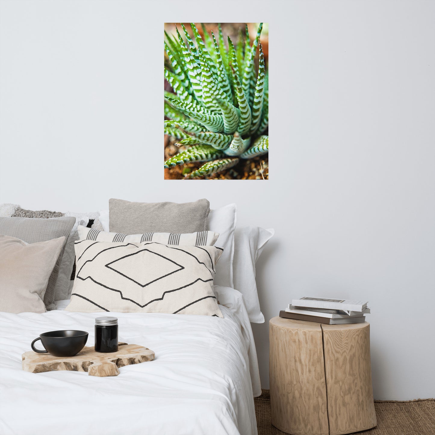 Succulent 2 Minimalist Rustic Farmhouse Style Botanical Nature Photo Loose Unframed Wall Art Prints
