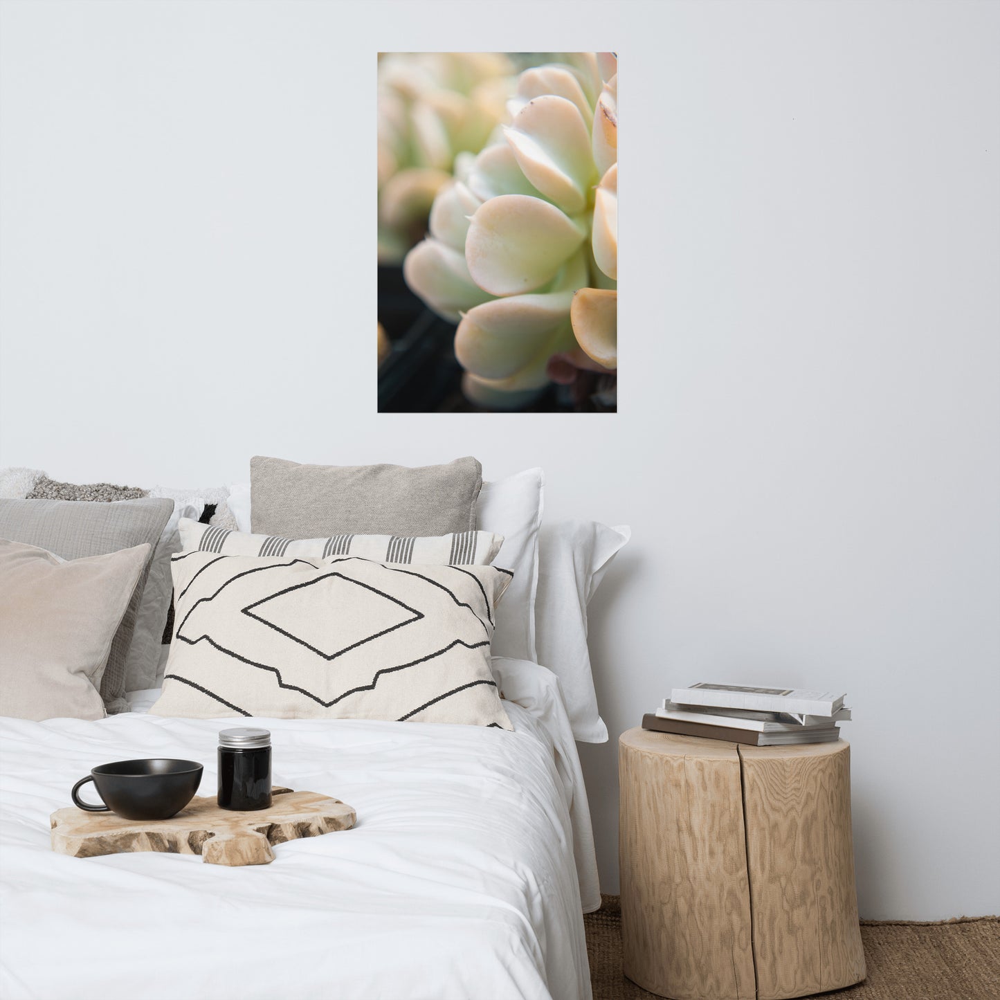 Succulent 4 Minimalist Rustic Farmhouse Style Botanical Nature Photo Loose Unframed Wall Art Prints
