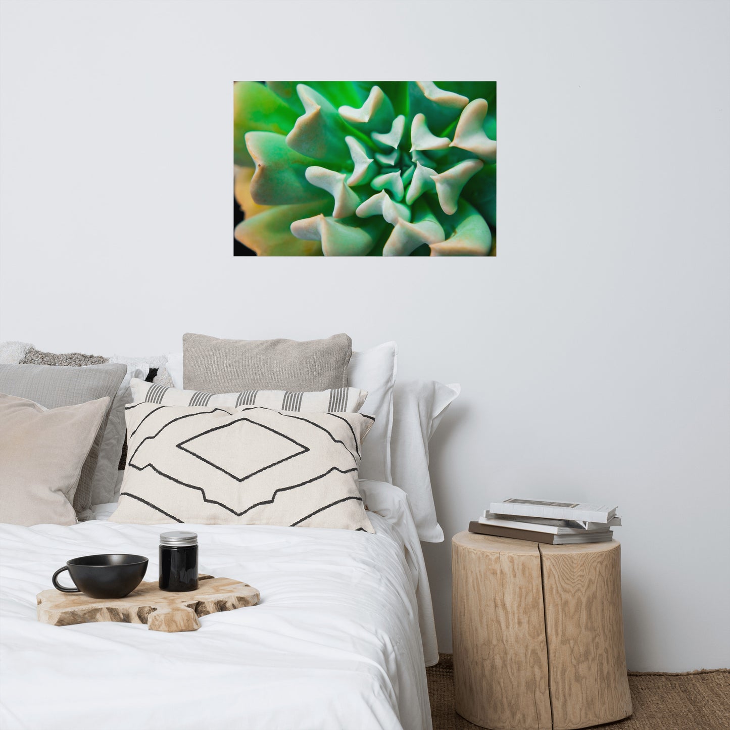 Succulent Botanical Minimalist Rustic Farmhouse Style Nature Photo Loose Unframed Wall Art Prints