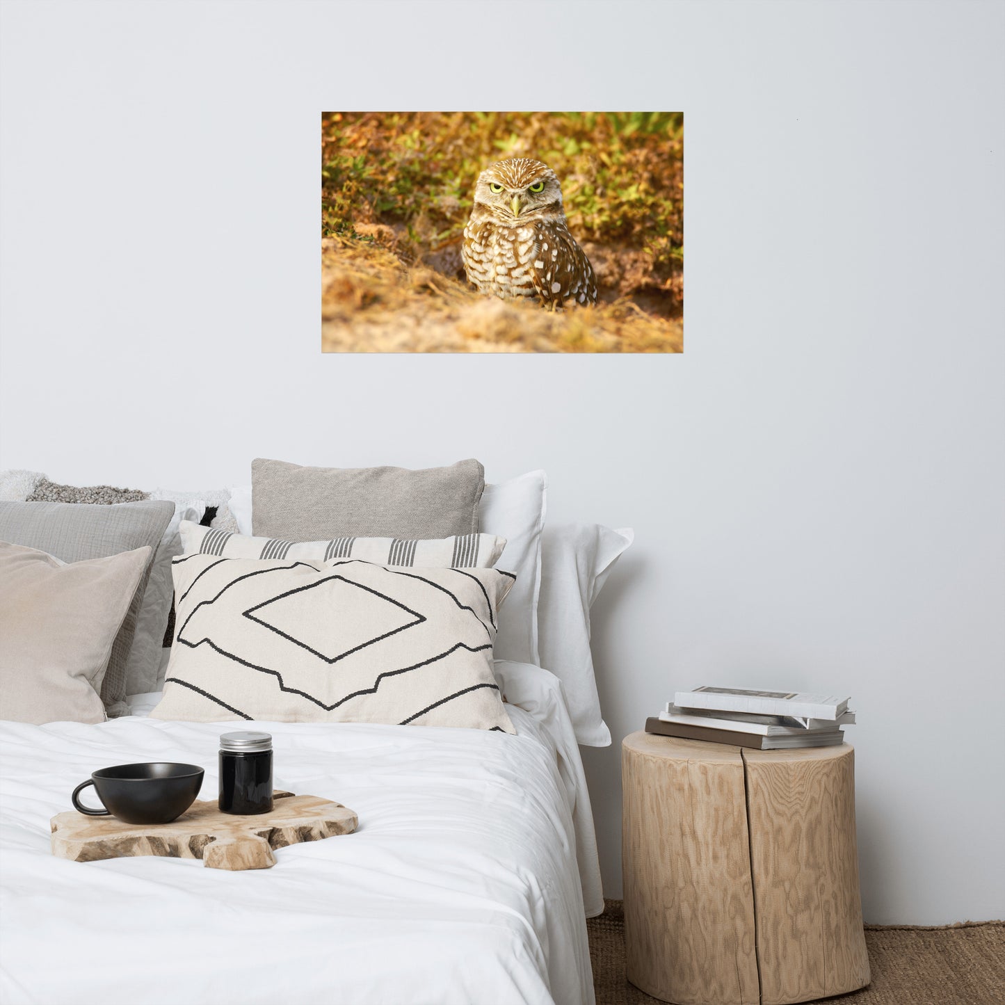 Burrowing Owl in Golden Light Rustic Bird / Animal / Wildlife Photograph Art Print