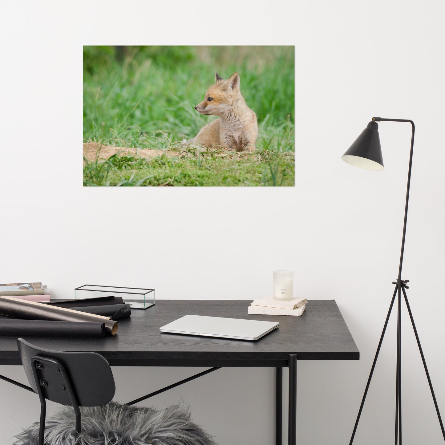 Fox Wall Print: Red Fox Pups - Chillin Animal / Wildlife / Nature Photograph Loose / Unframed / Frameless / Frameable Wall Art Print - Artwork