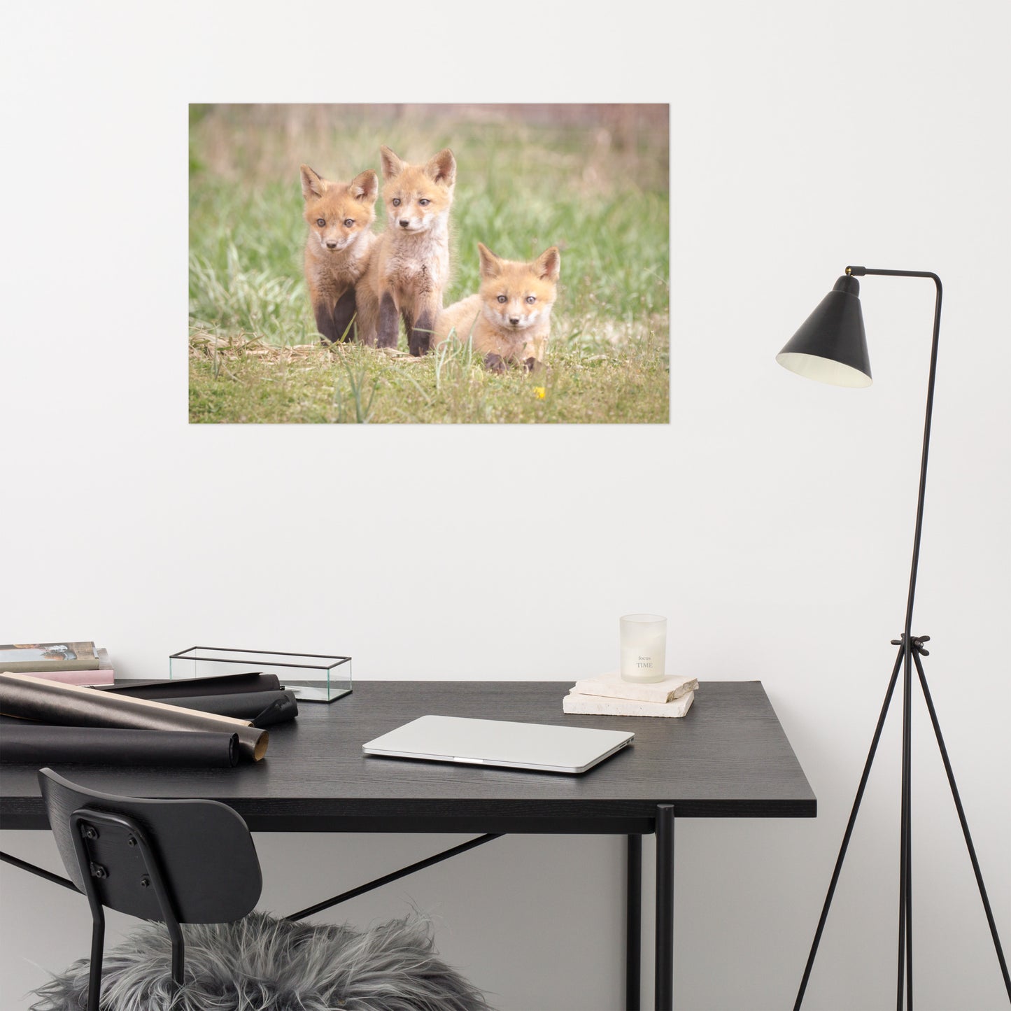 Baby Red Foxes Siblings Loose Wall Art Print