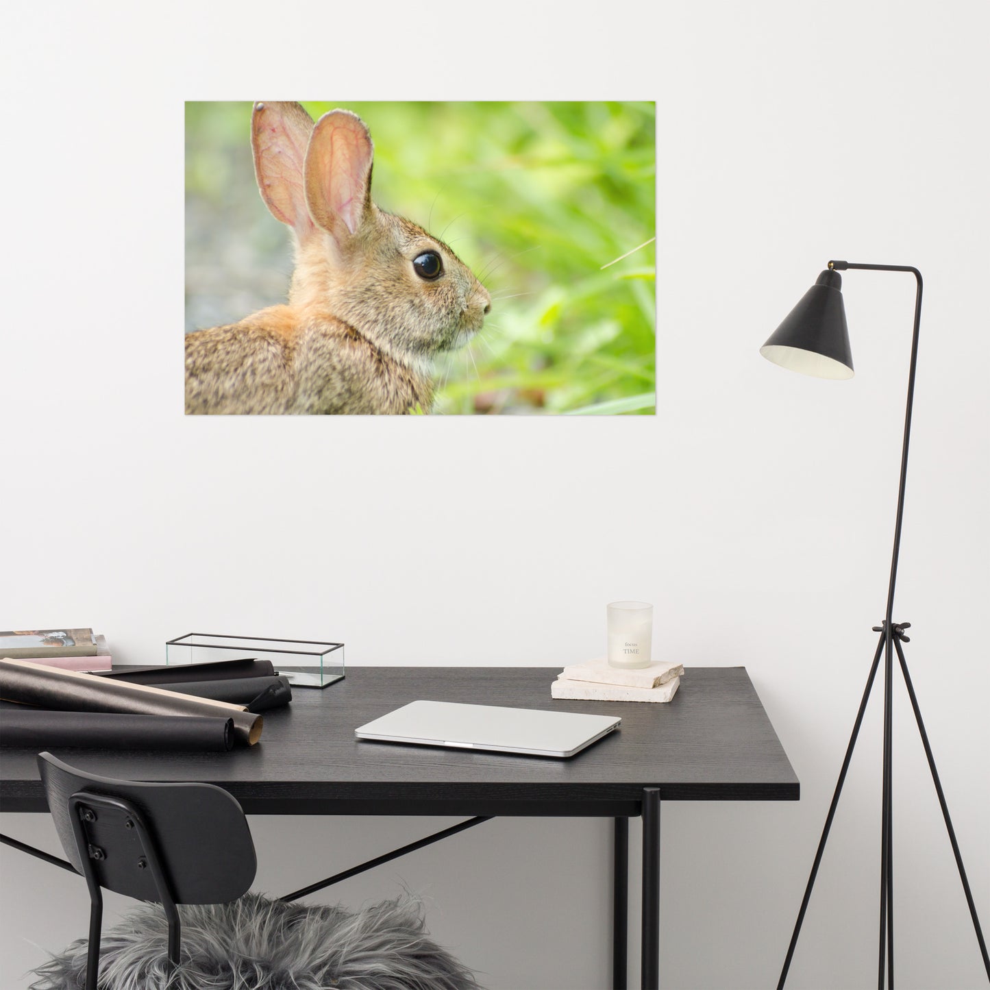 Bunny at Bombay Hook Animal / Wildlife Photograph Loose Wall Art Print