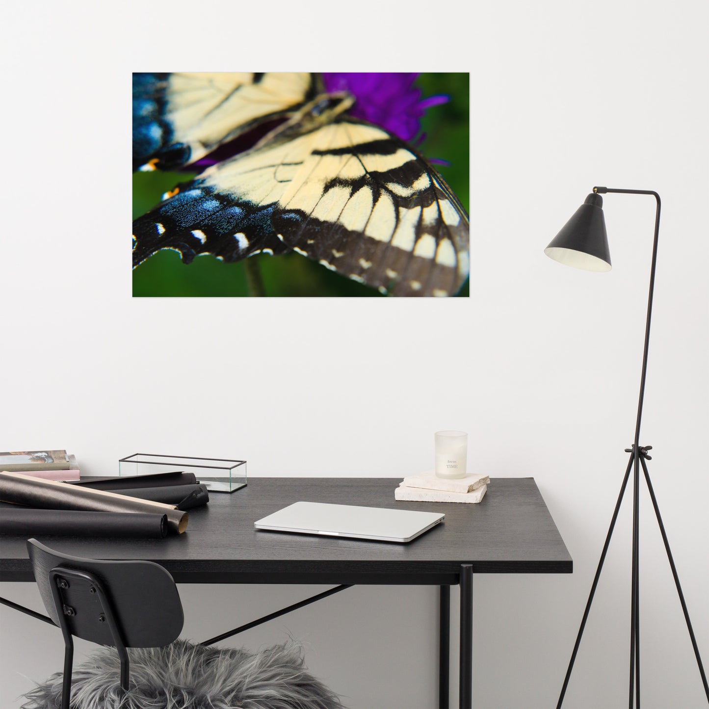 Butterfly Wings Animal / Wildlife Photograph Loose Wall Art Print