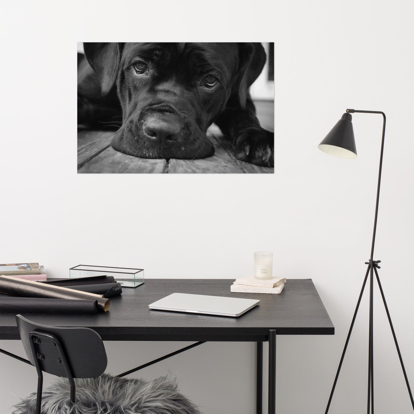 Cane Corso on Porch Animal / Dog Black & White Loose Wall Art Print