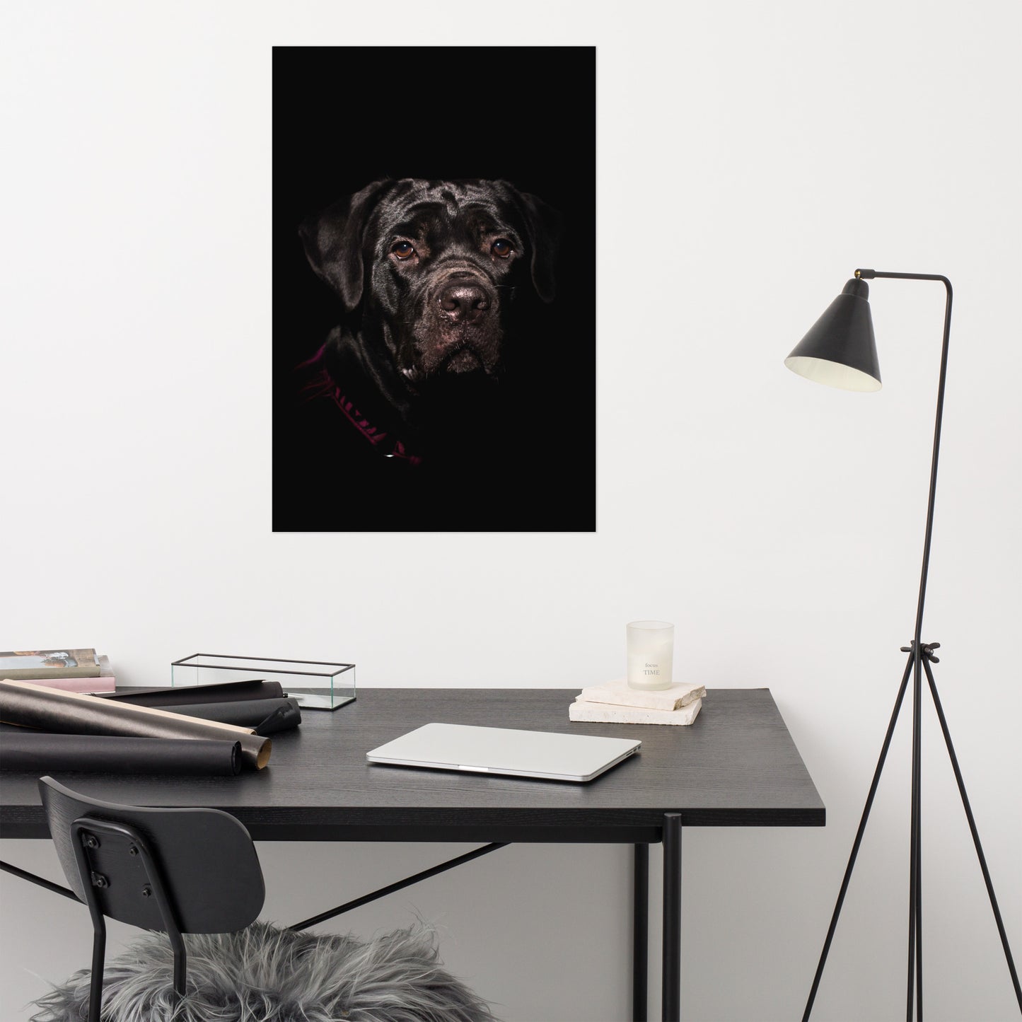 Cane Corso Low-Key Animal Photograph Loose Wall Art Print