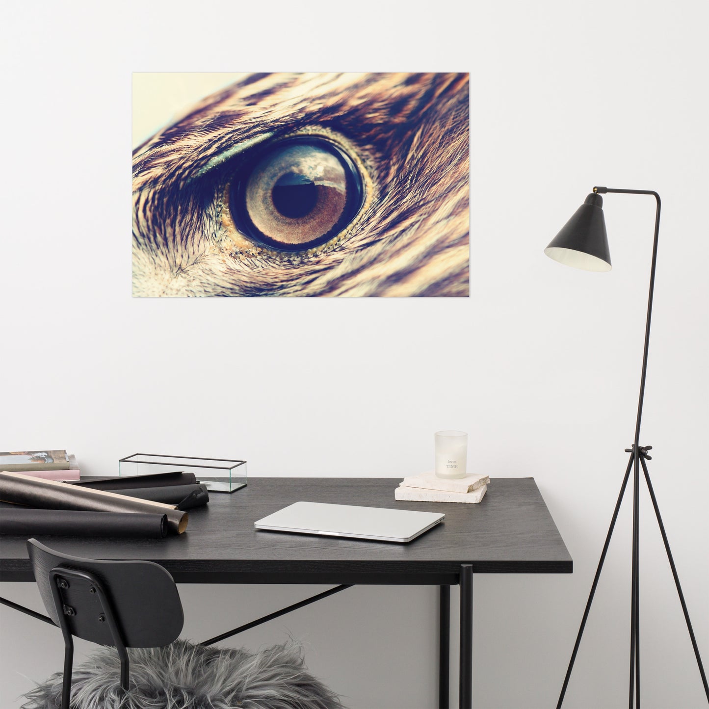 Close-up Eagle Eye Color Tone Rustic Bird / Animal / Wildlife Photo Loose Wall Art Print