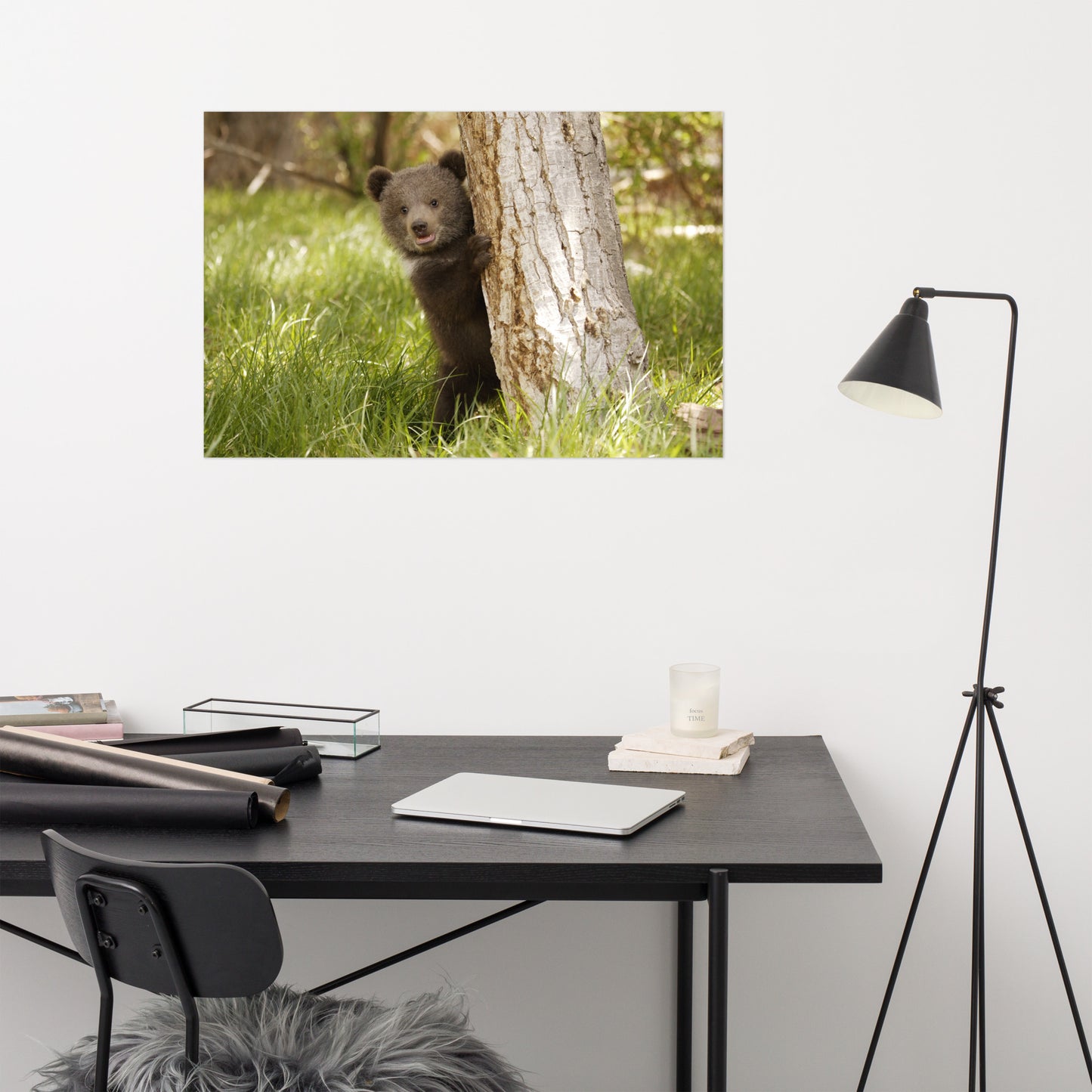 Cute Baby Grizzly Bear Cub Behind Tree In Meadow Rustic Animal / Wildlife Photo Loose Wall Art Print