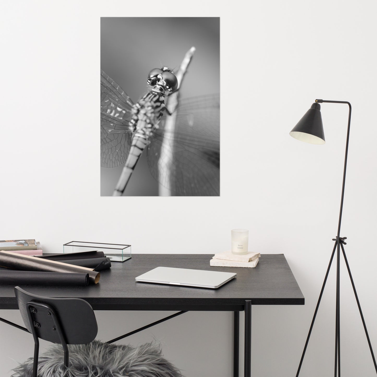 Dragonfly at Bombay Hook Black and White Rustic Wildlife Photograph Loose Wall Art Print