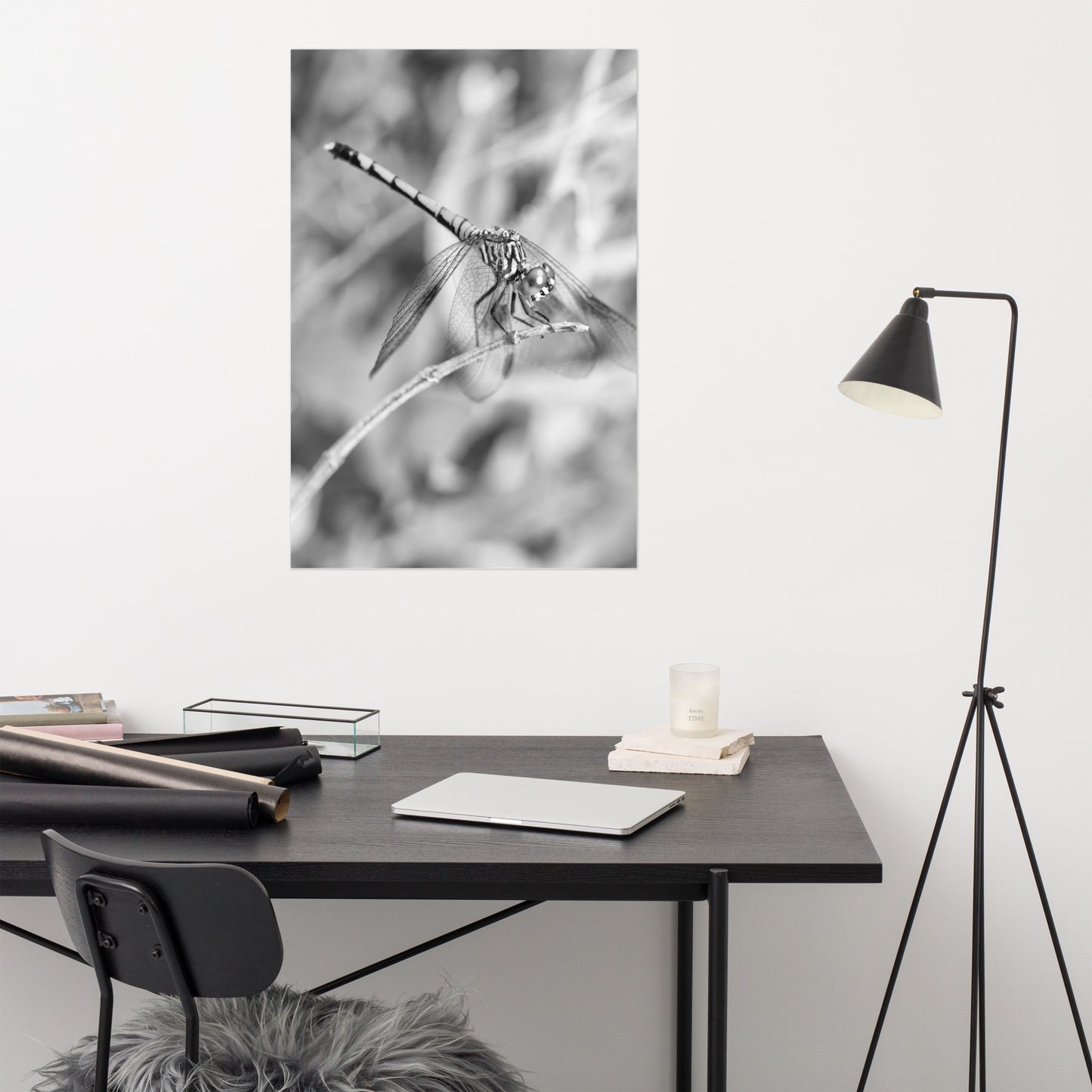 Dragonfly on Twig Black and White Rustic Wildlife Photograph Loose Wall Art Print