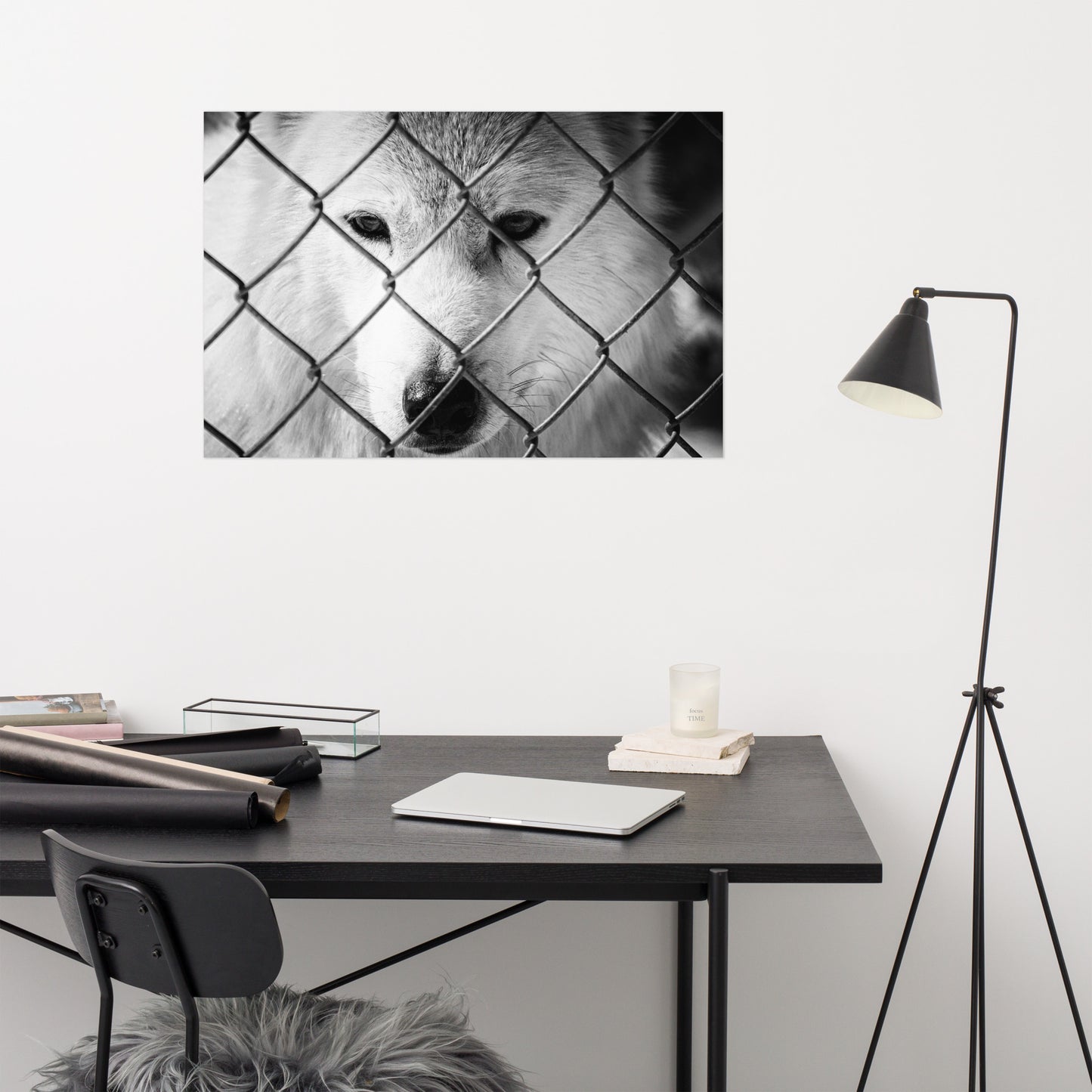 Dreams of Freedom Rustic Animal / Wildlife Photograph Loose Wall Art Print