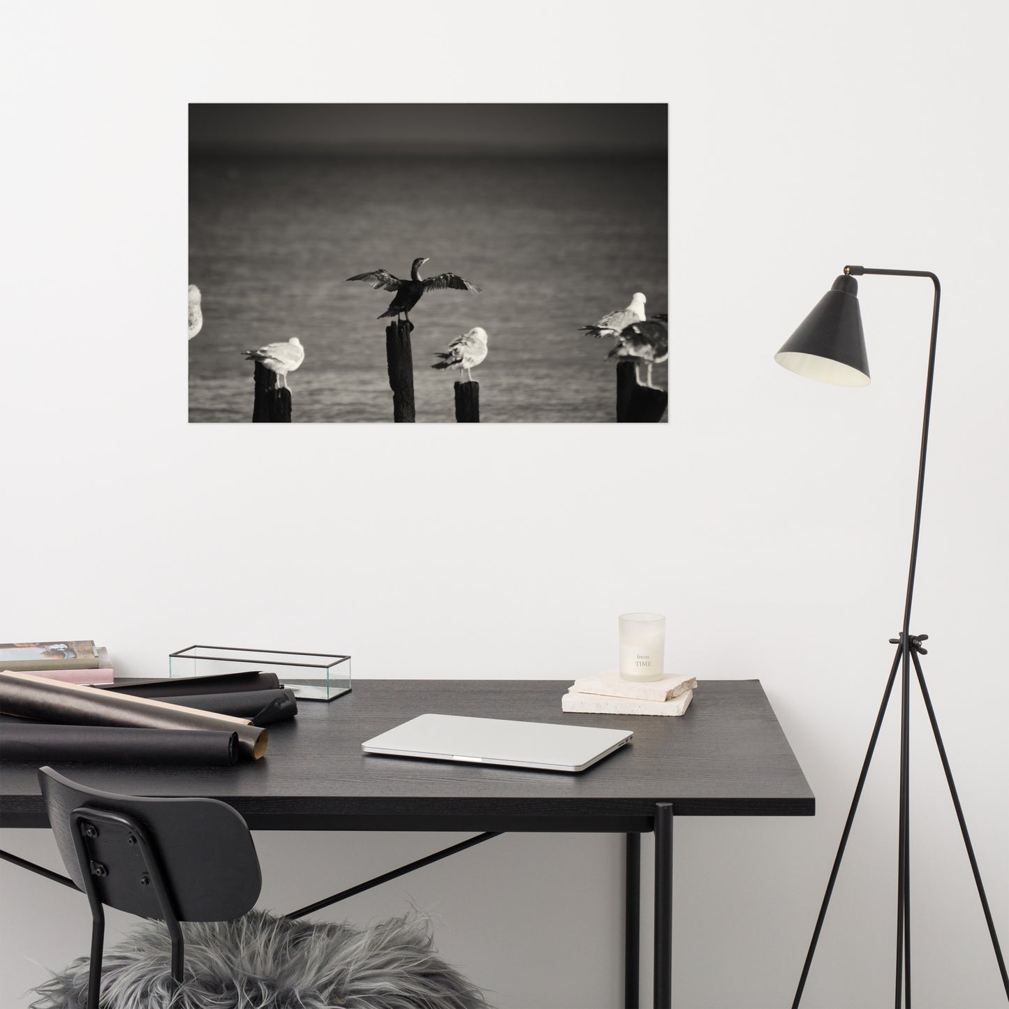 Drying Wings After Storm Bird / Animal / Wildlife Photograph Loose Wall Art Print