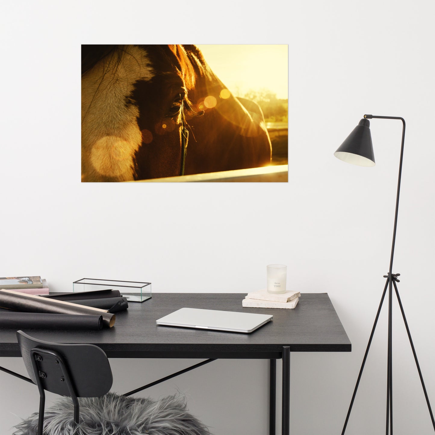 Evening Flare Rustic Farmhouse Style Horse Photograph Loose Wall Art Print