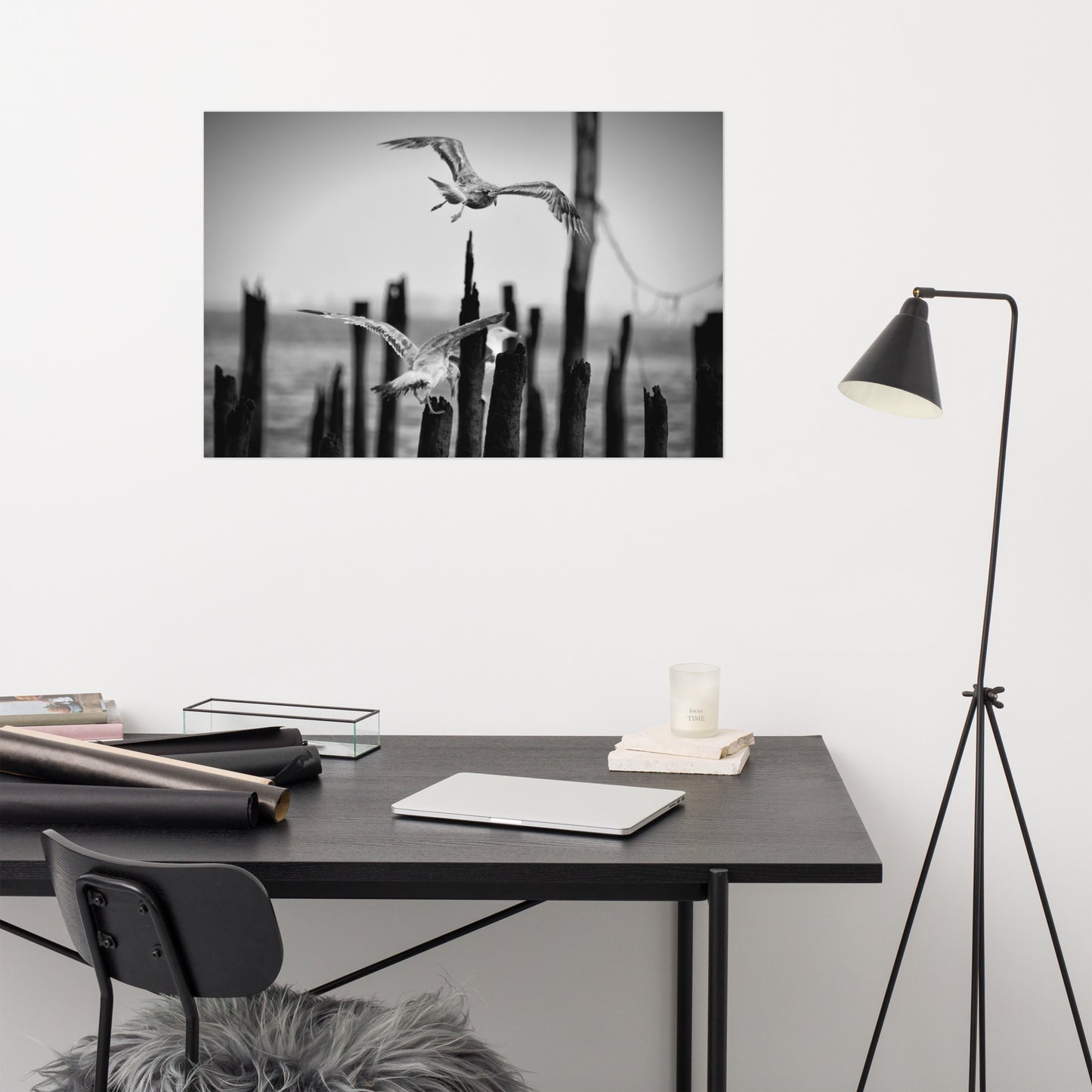 Flying Sea Gull in Black and White Moody Bird / Animal / Wildlife Photo Loose Wall Art Print