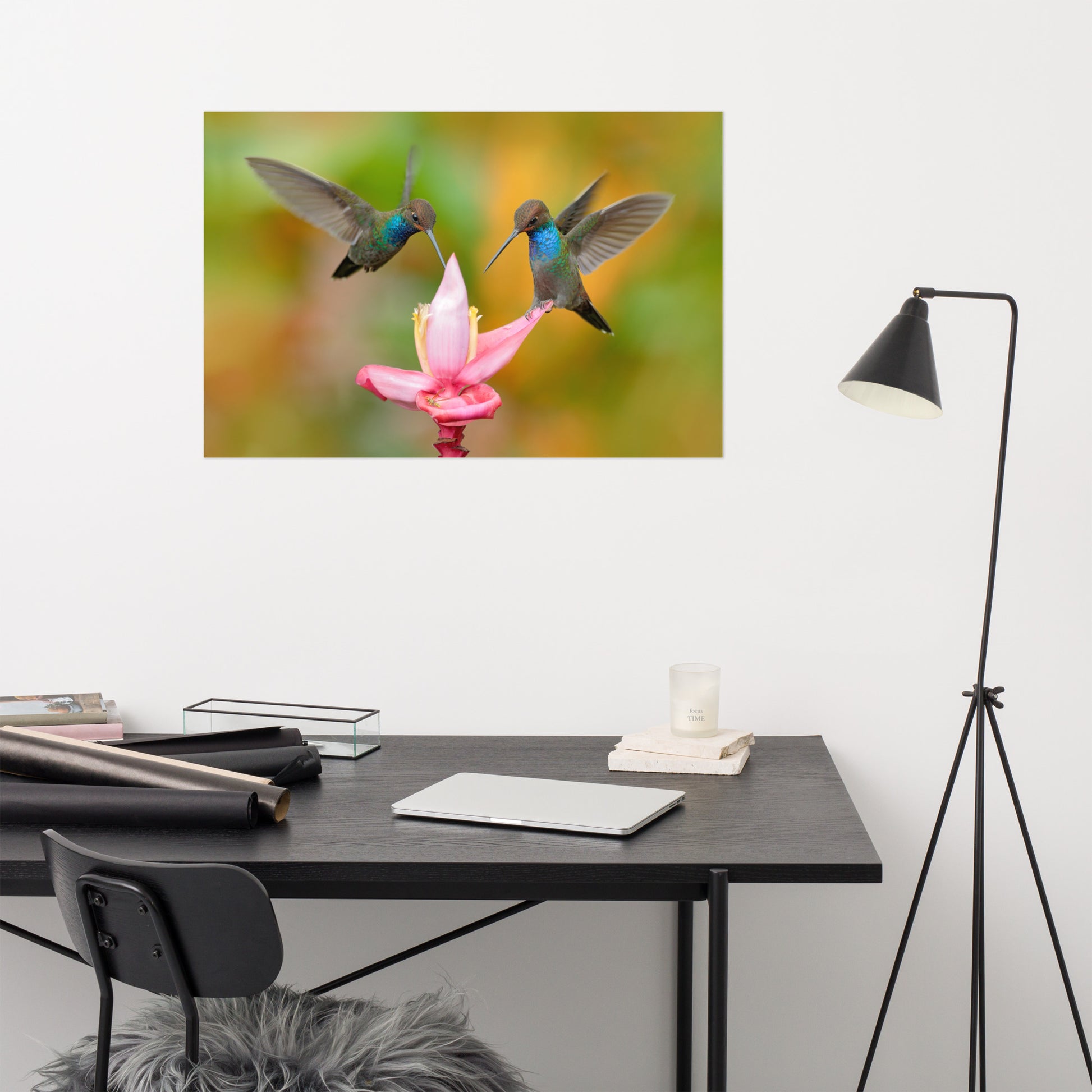 Plant Prints For Wall:
