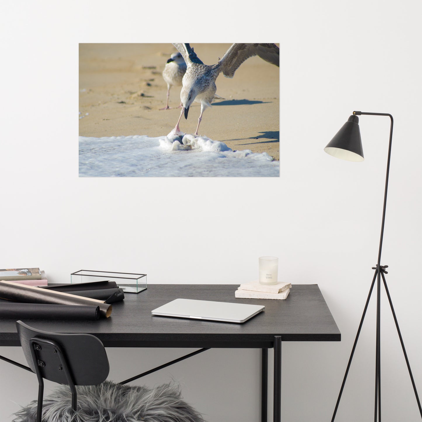 Oh That's Cold Coastal Bird Wildlife Photograph Loose Wall Art Print
