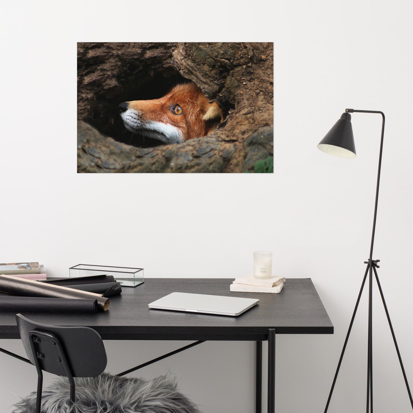 Red Fox Face in Stump of Tree Rustic Farmhouse Style Animal Wildlife Nature Photograph Loose Wall Art Print