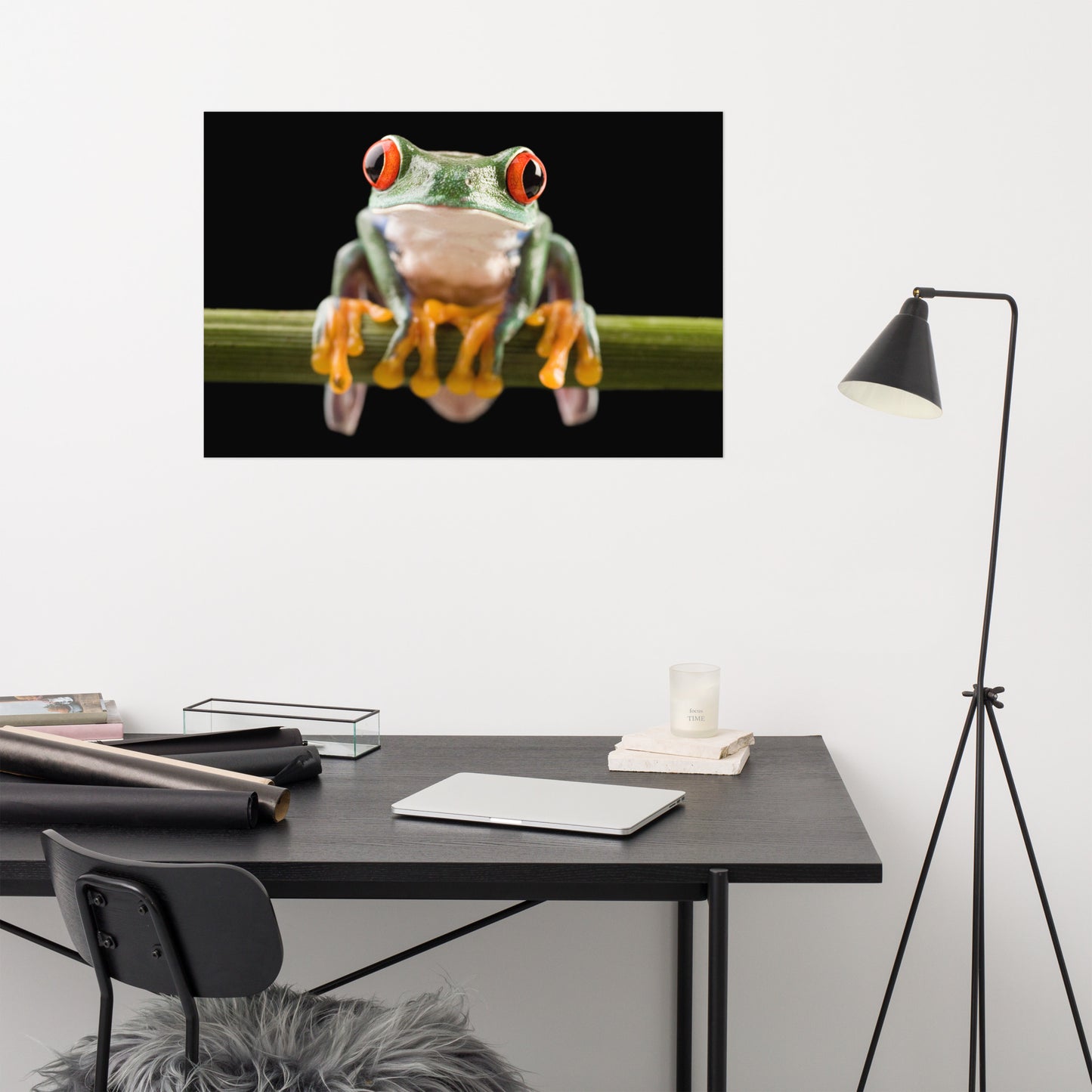 Red Eyed Tree Frog Sitting on Branch Animal Wildlife Nature Photo Loose Wall Art Print